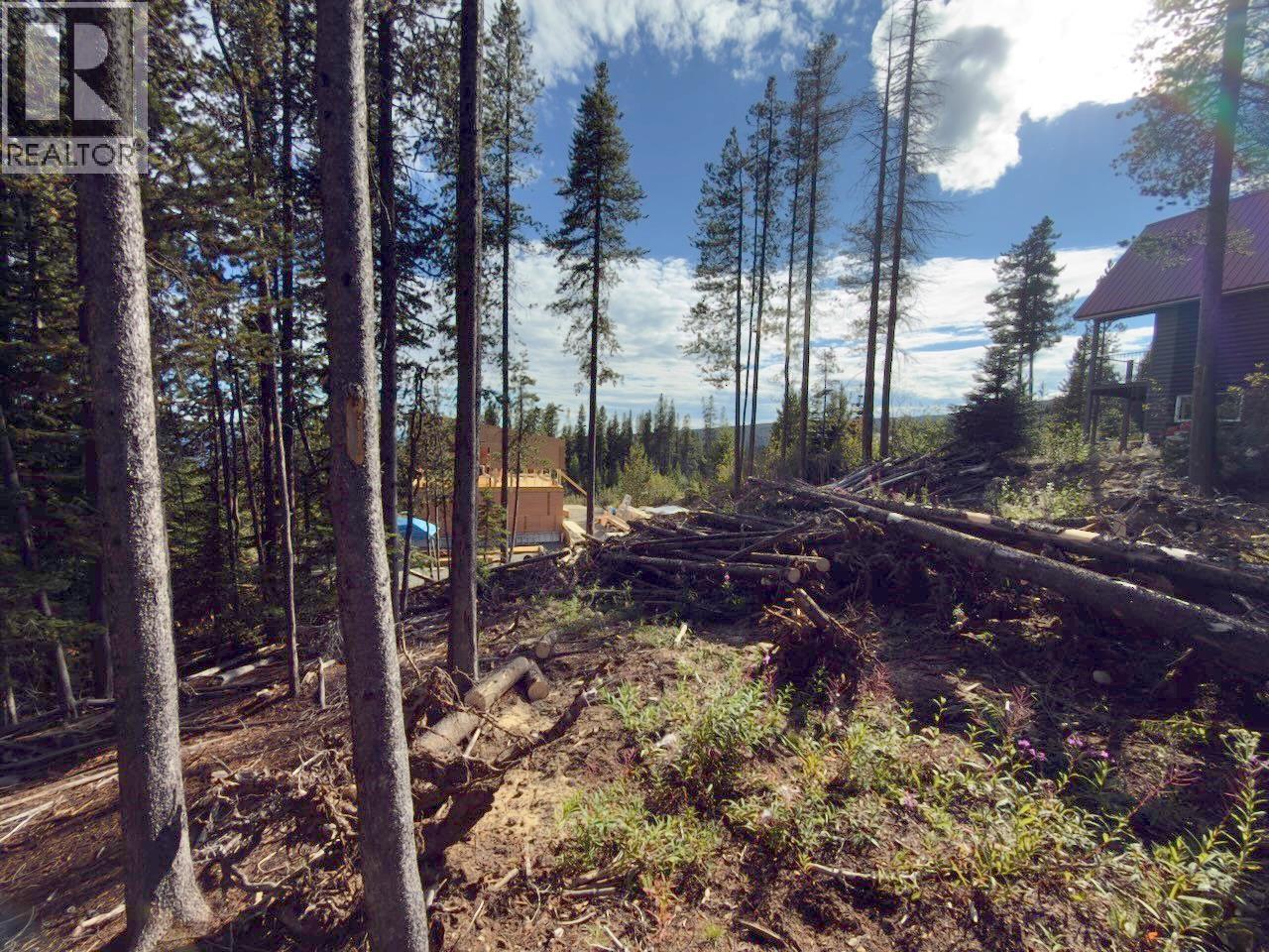 300 Cougar Road, Oliver, British Columbia  V0H 1T8 - Photo 25 - 10400705
