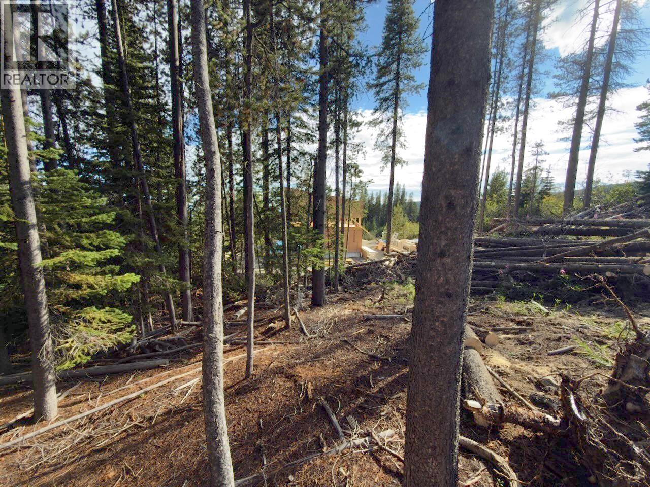 300 Cougar Road, Oliver, British Columbia  V0H 1T8 - Photo 26 - 10400705