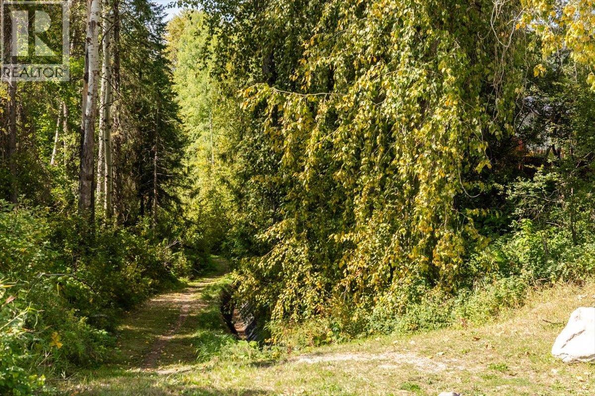 4 Ridgemont Avenue, Fernie, British Columbia  V0B 1M2 - Photo 67 - 10400662