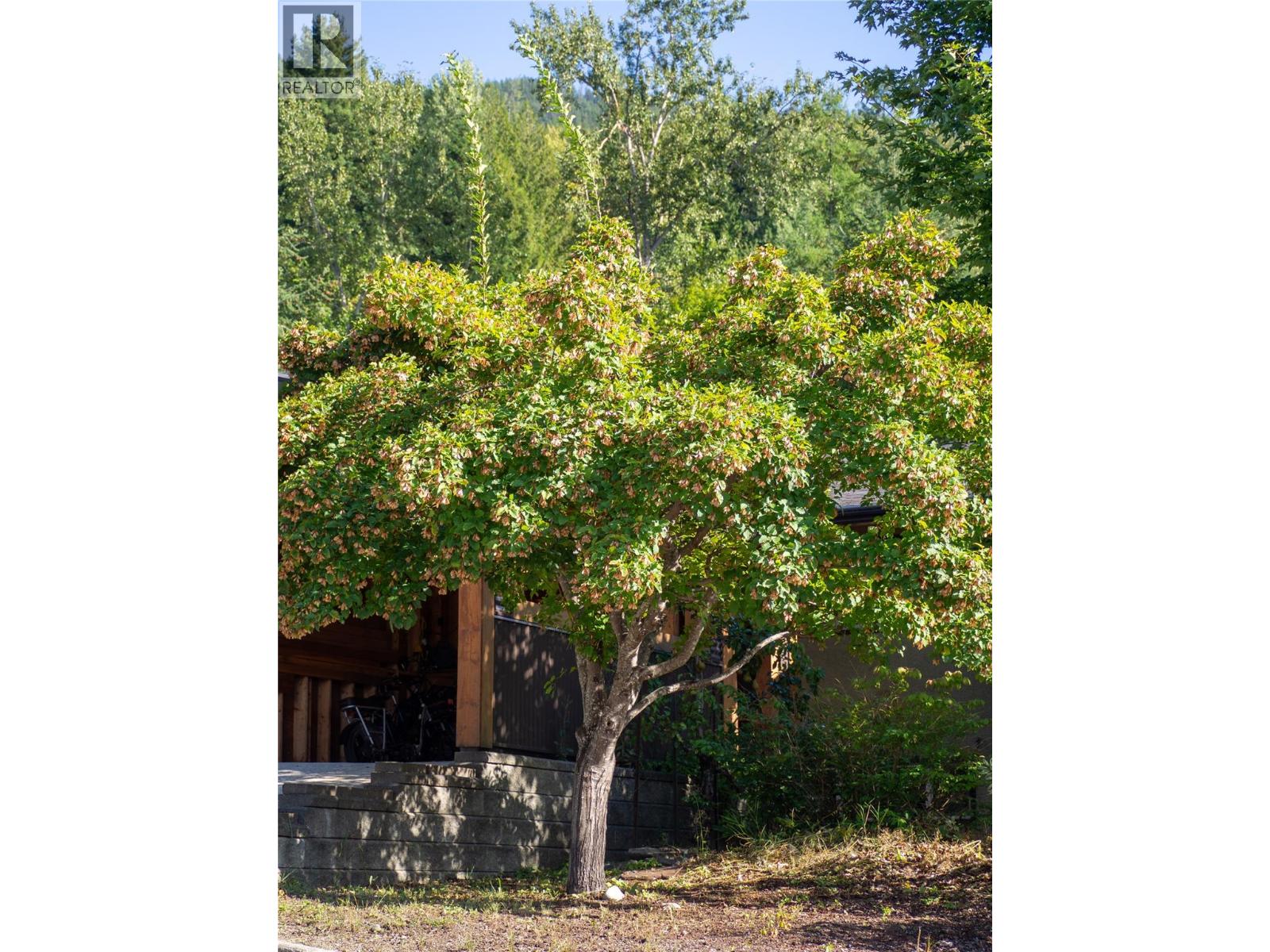 518 Delbruck Street, Nelson, British Columbia  V1L 5L6 - Photo 54 - 10400716