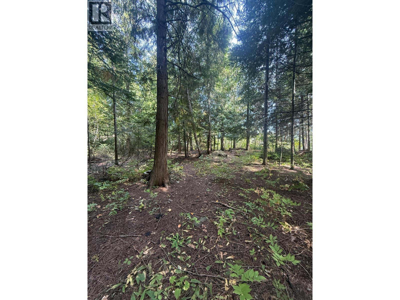 Dogwood Drive Lot# B, South Slocan, British Columbia  V0G 2G1 - Photo 4 - 10400404