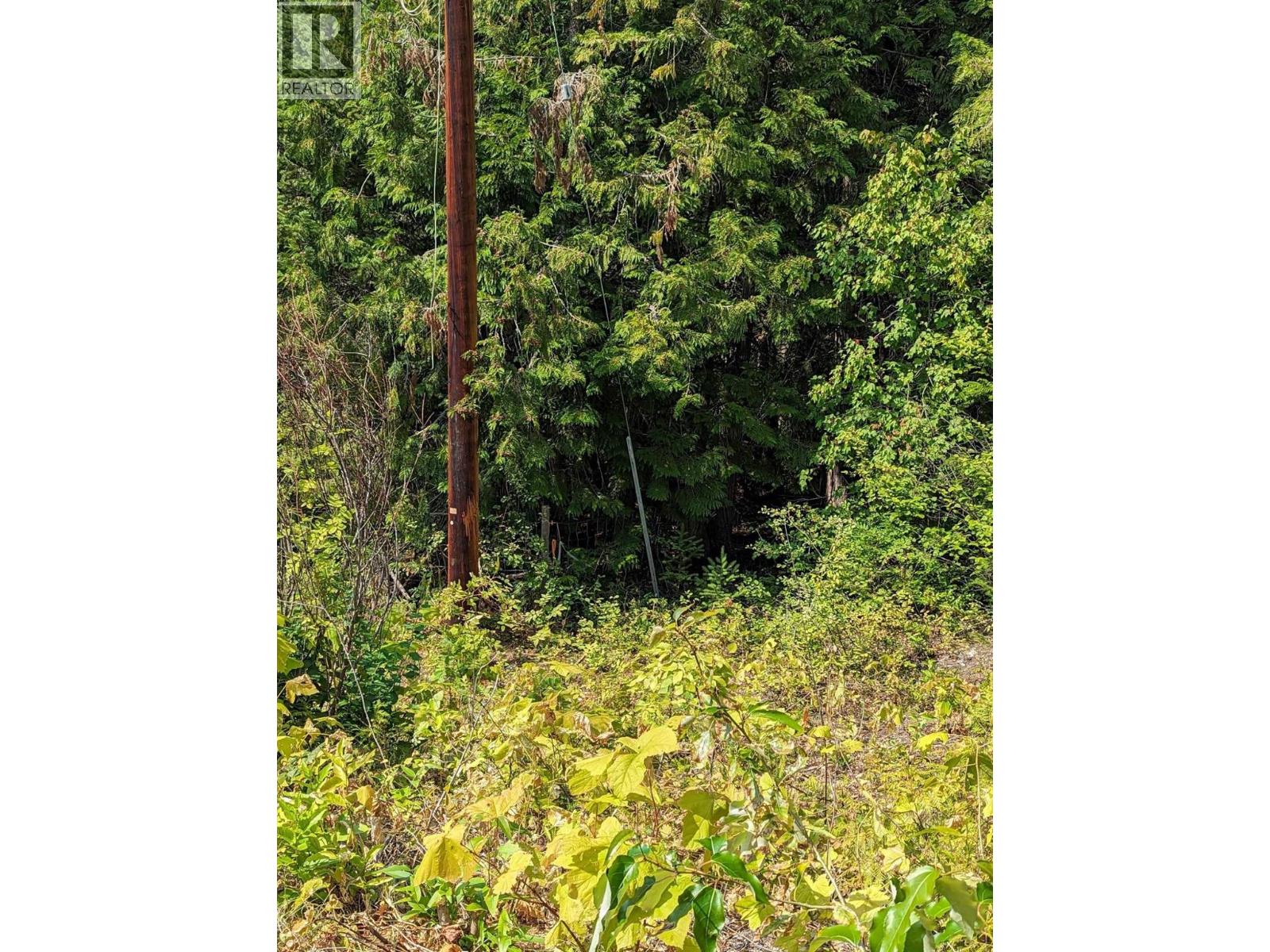 8569 Black Mountain Road, Chase, British Columbia  V0E 1M0 - Photo 15 - 10400315