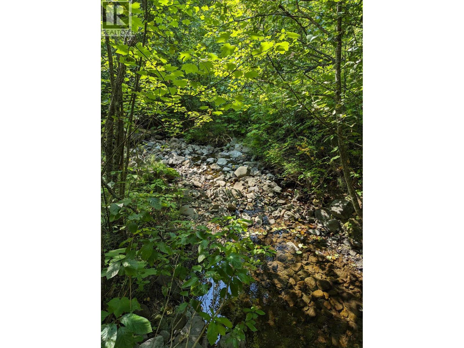 8569 Black Mountain Road, Chase, British Columbia  V0E 1M0 - Photo 21 - 10400315