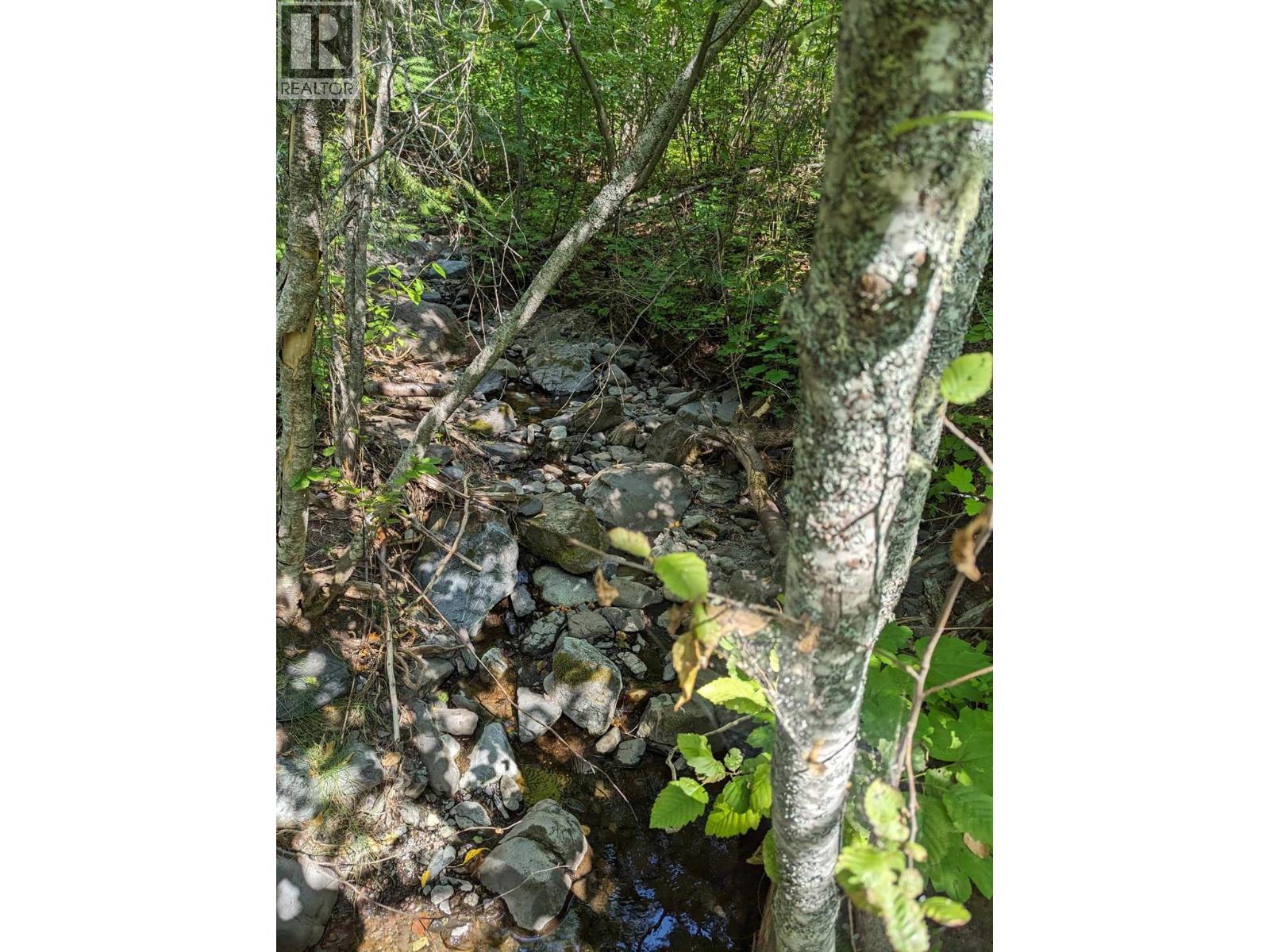 8569 Black Mountain Road, Chase, British Columbia  V0E 1M0 - Photo 22 - 10400315