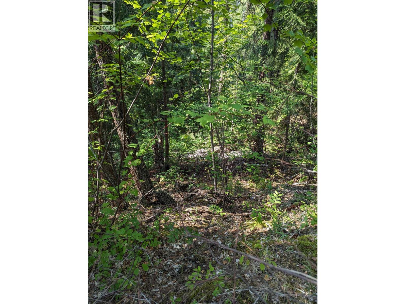 8569 Black Mountain Road, Chase, British Columbia  V0E 1M0 - Photo 23 - 10400315