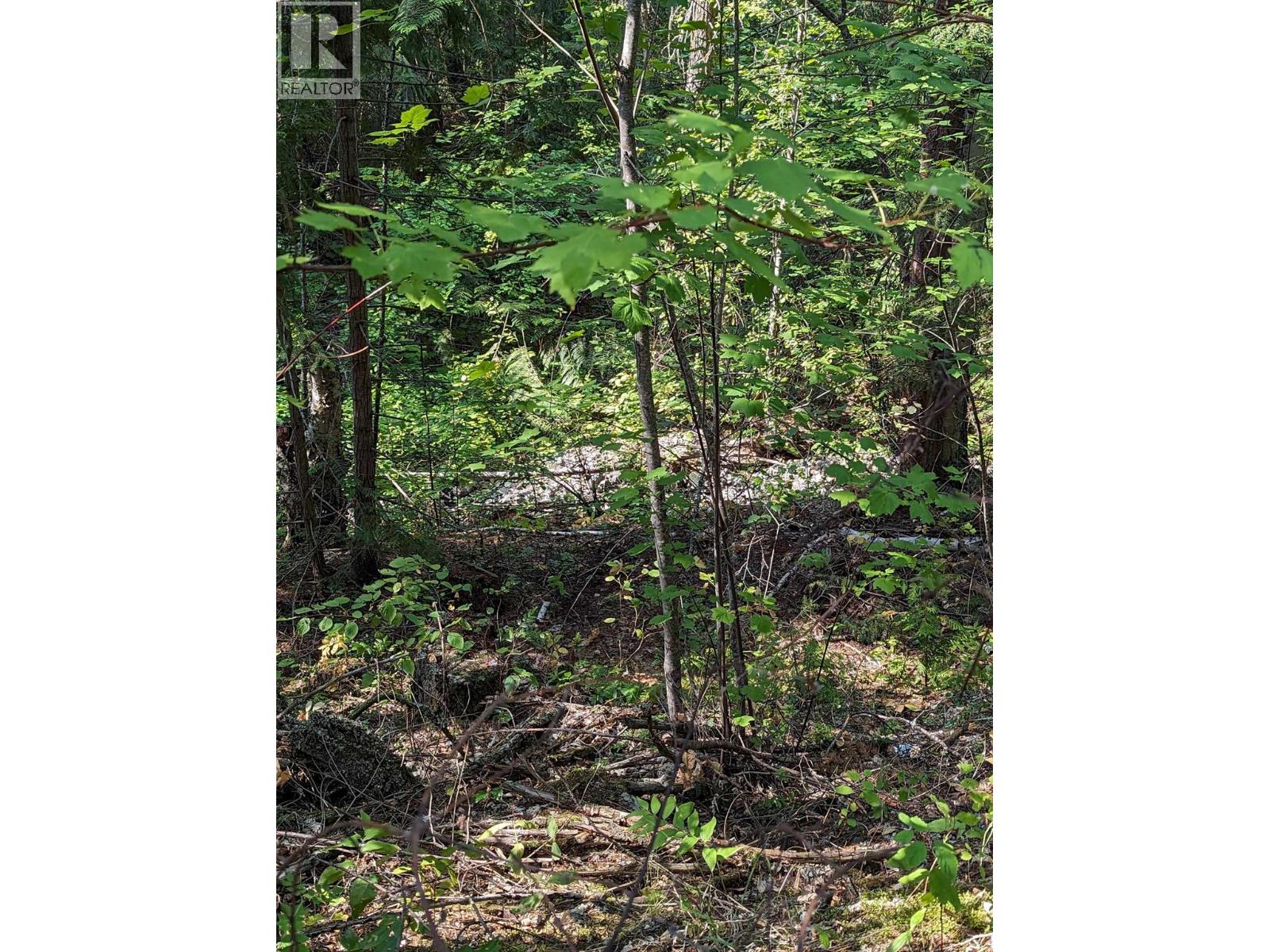 8569 Black Mountain Road, Chase, British Columbia  V0E 1M0 - Photo 26 - 10400315