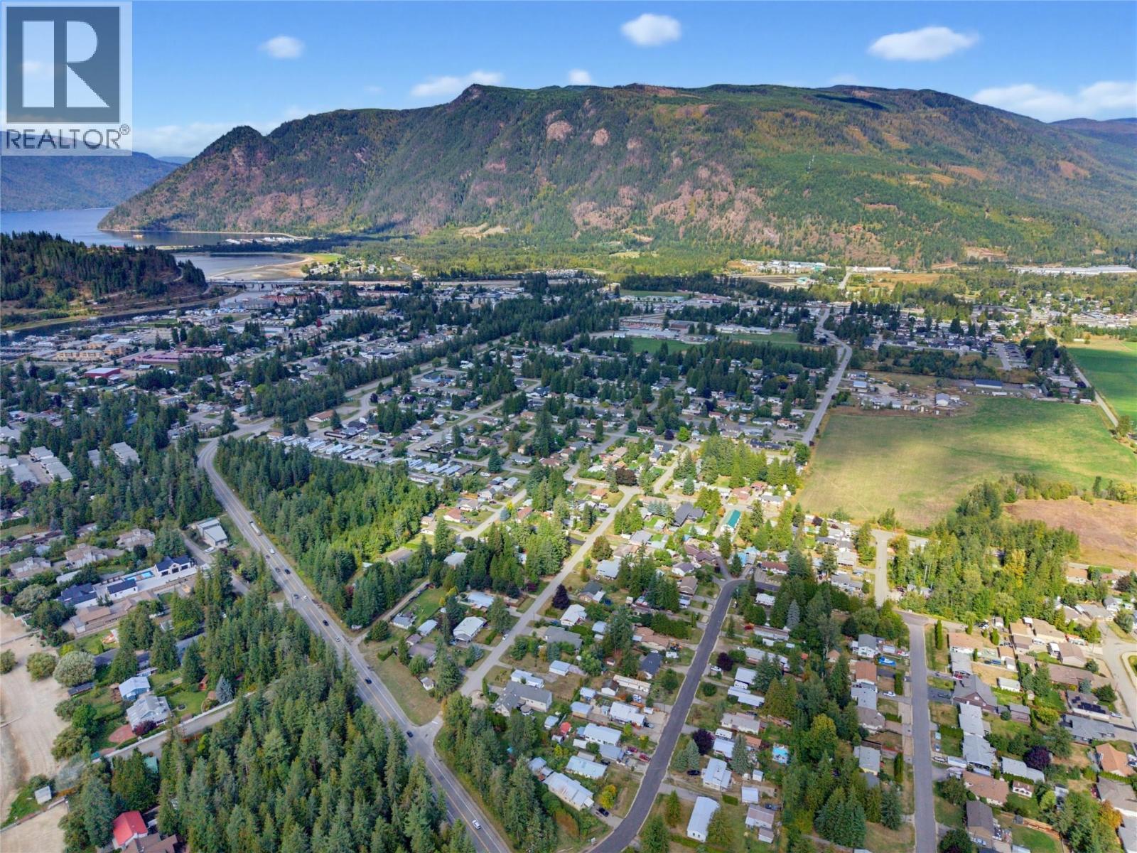 405 Gillis Avenue, Sicamous, British Columbia  V0E 2V1 - Photo 14 - 10400970