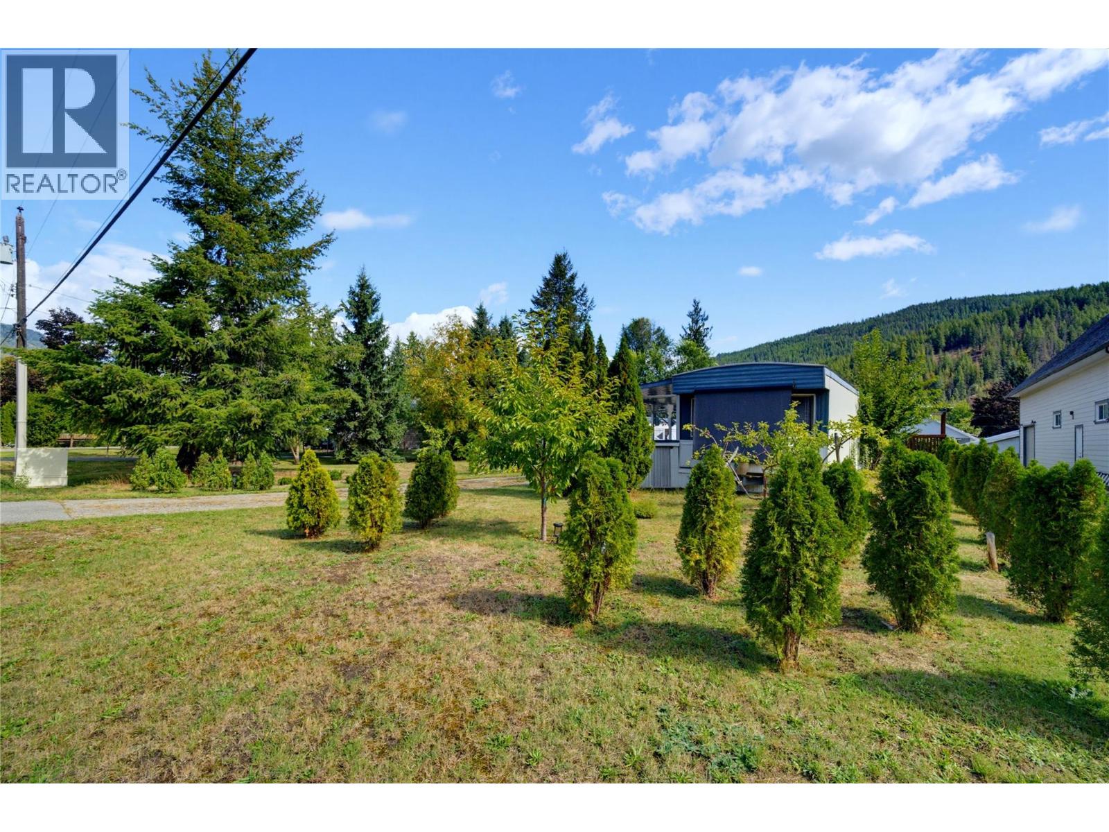 405 Gillis Avenue, Sicamous, British Columbia  V0E 2V1 - Photo 39 - 10400970