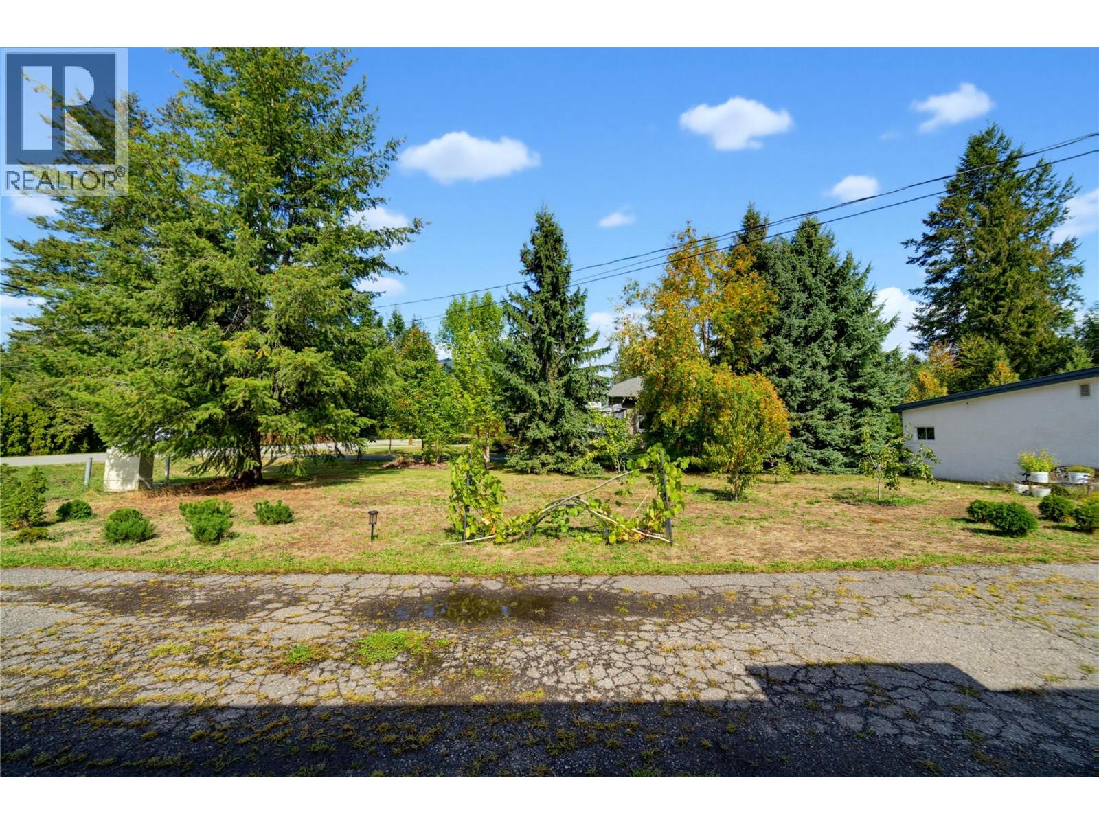 405 Gillis Avenue, Sicamous, British Columbia  V0E 2V1 - Photo 41 - 10400970
