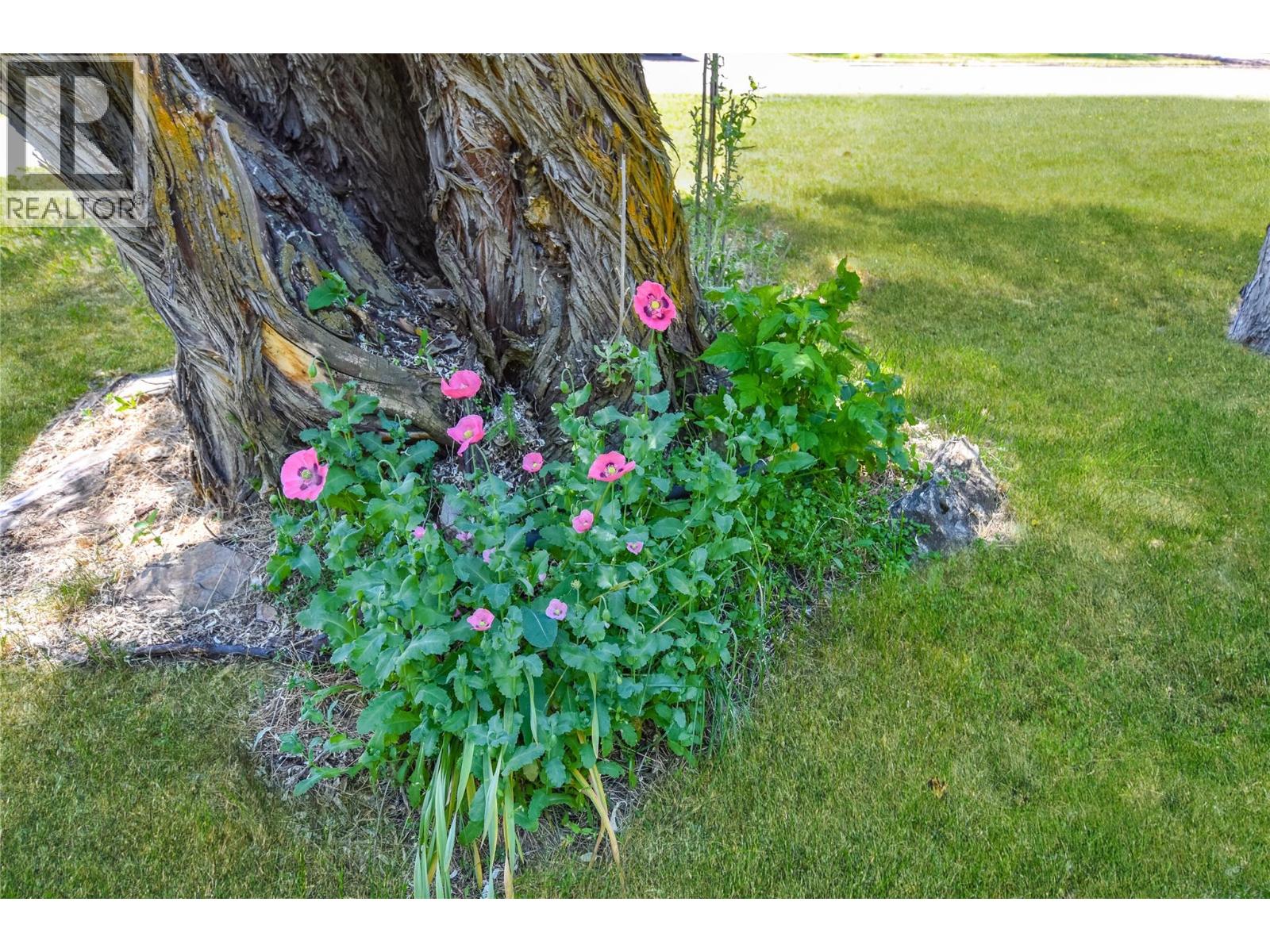 508 16th Ave S, Cranbrook, British Columbia  V1C 2Z9 - Photo 49 - 10400866