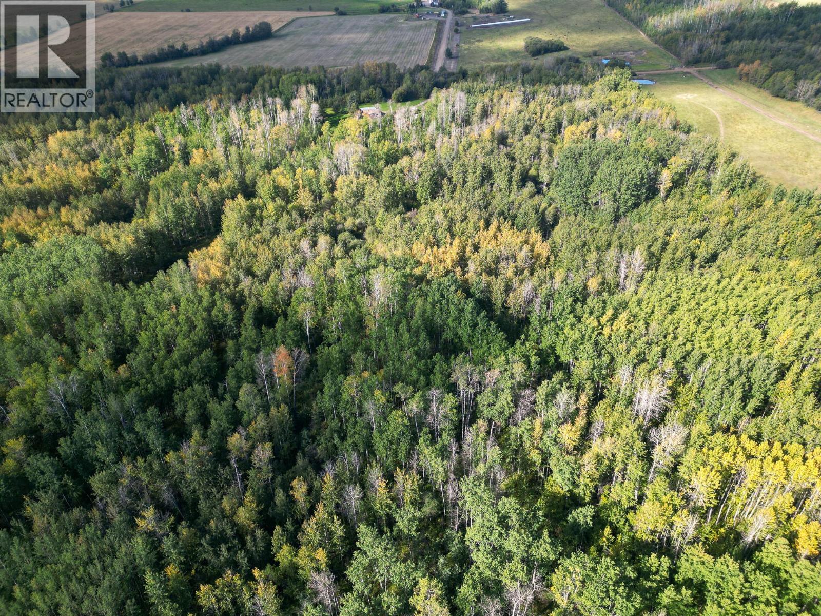 14034 211 Road, Dawson Creek, British Columbia  V1G 4G7 - Photo 32 - 10400983
