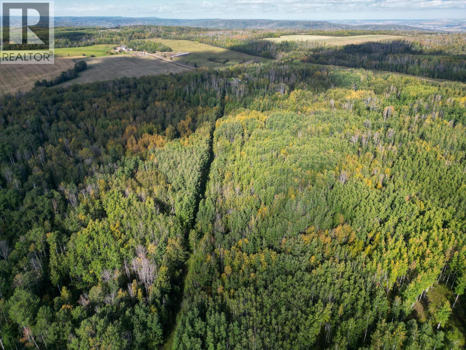 14034 211 Road, Dawson Creek, British Columbia  V1G 4G7 - Photo 33 - 10400983
