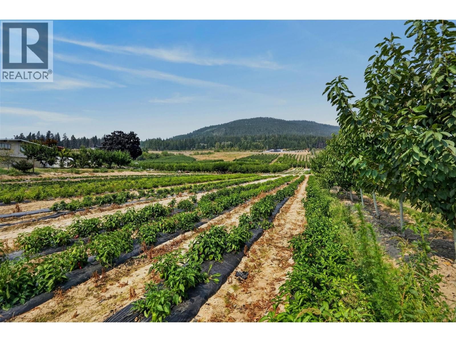 3016 3 Highway Lot# 812, Creston, British Columbia  V0B 1G1 - Photo 27 - 10400794