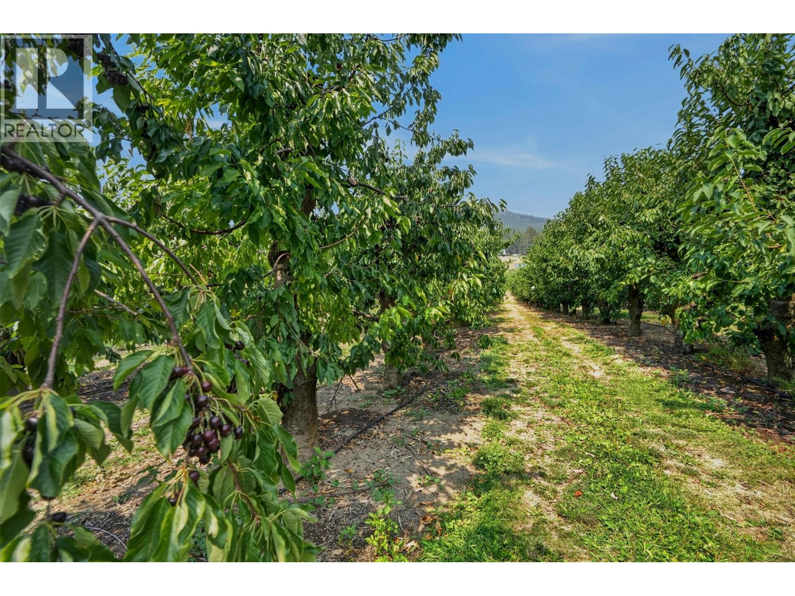 3016 3 Highway Lot# 812, Creston, British Columbia  V0B 1G1 - Photo 29 - 10400794