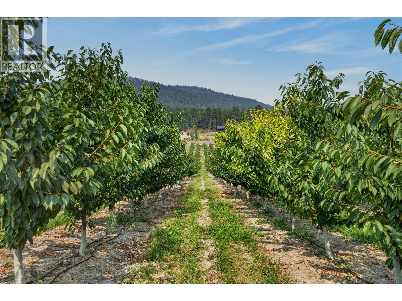3016 3 Highway Lot# 812, Creston, British Columbia  V0B 1G1 - Photo 30 - 10400794