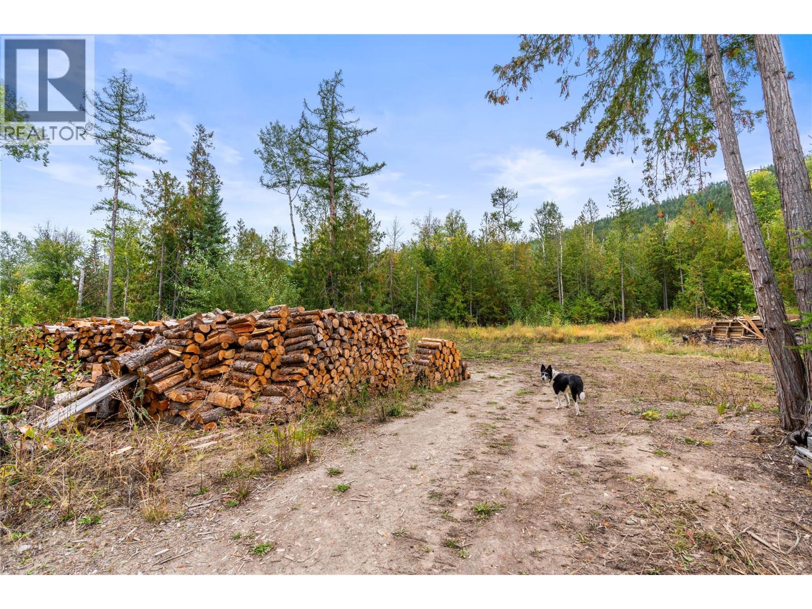 5089a Cedar Hill Road, Falkland, British Columbia  V0E 1W0 - Photo 82 - 10400054