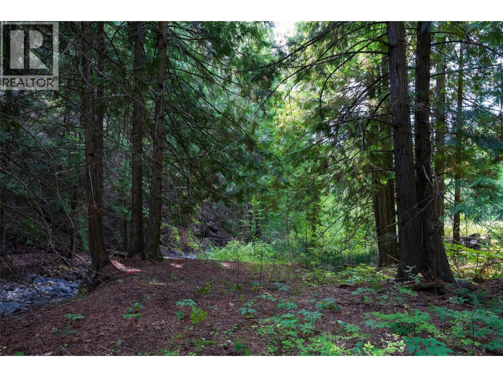Lot 1 Hwy 33 Highway E, Kelowna, British Columbia  V1P 1H3 - Photo 17 - 10400880