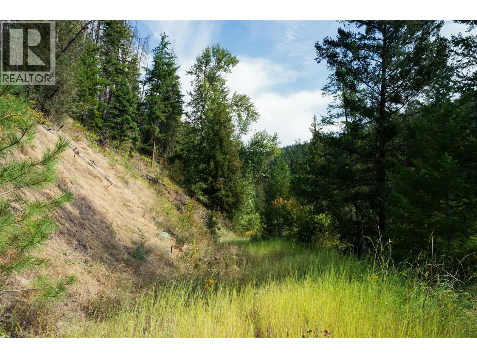Lot 1 Hwy 33 Highway E, Kelowna, British Columbia  V1P 1H3 - Photo 19 - 10400880