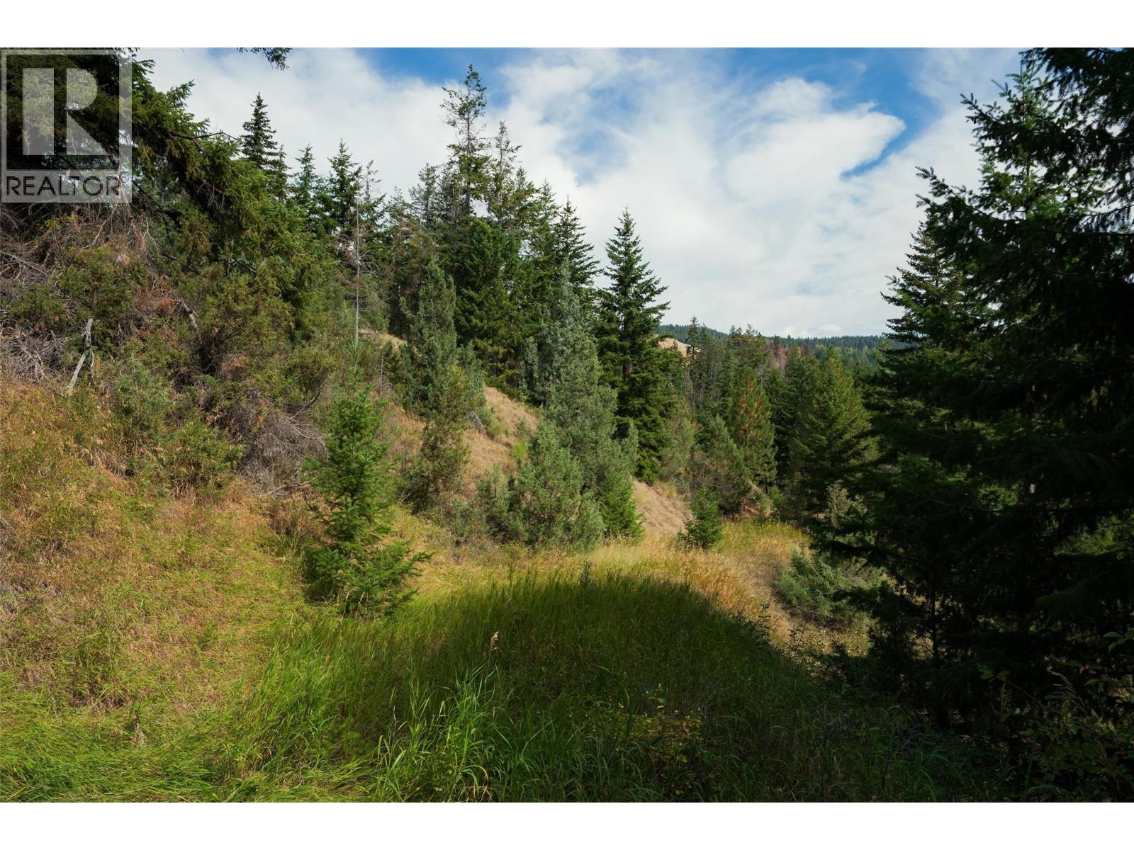 Lot 1 Hwy 33 Highway E, Kelowna, British Columbia  V1P 1H3 - Photo 20 - 10400880