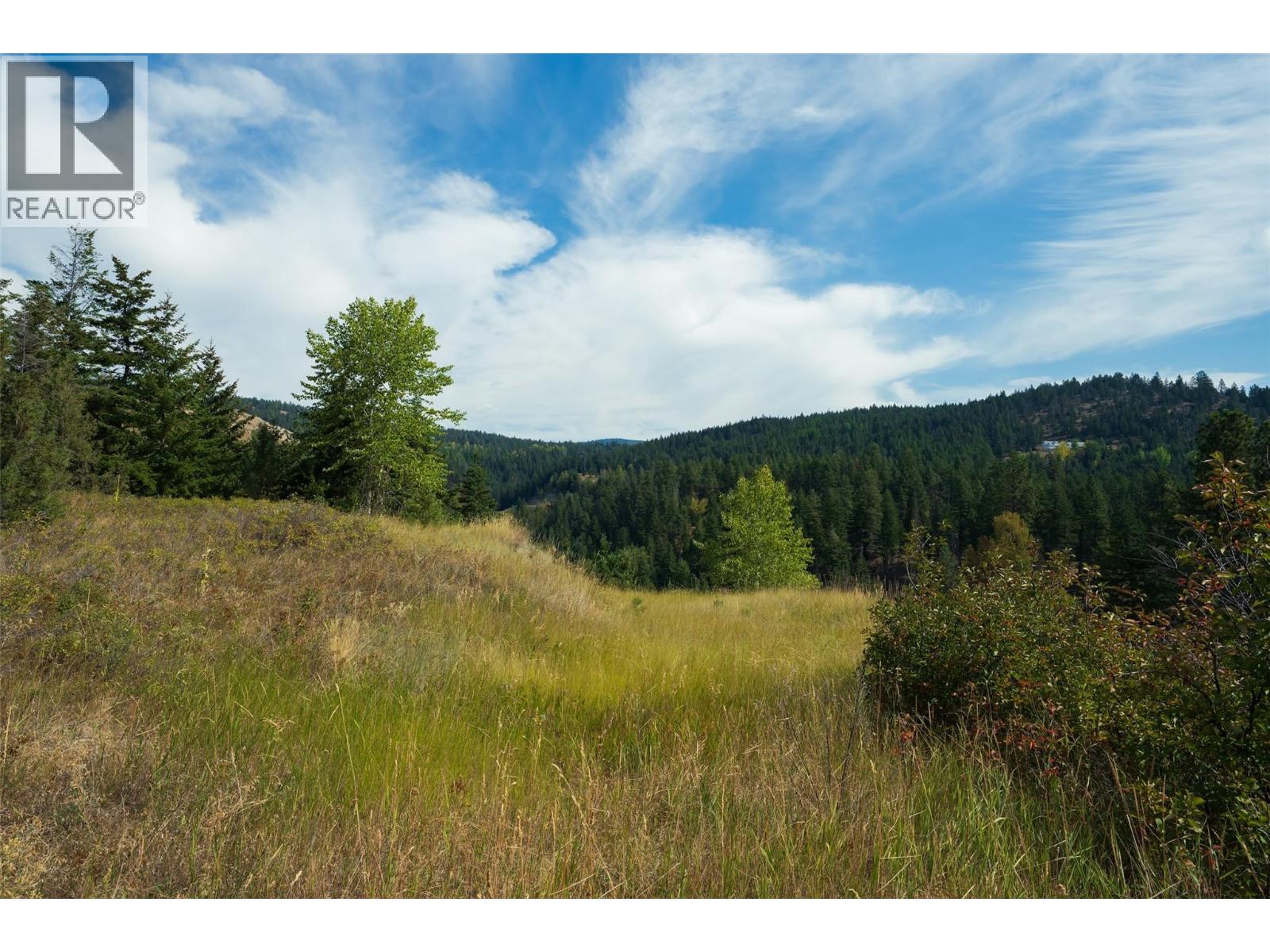 Lot 1 Hwy 33 Highway E, Kelowna, British Columbia  V1P 1H3 - Photo 21 - 10400880