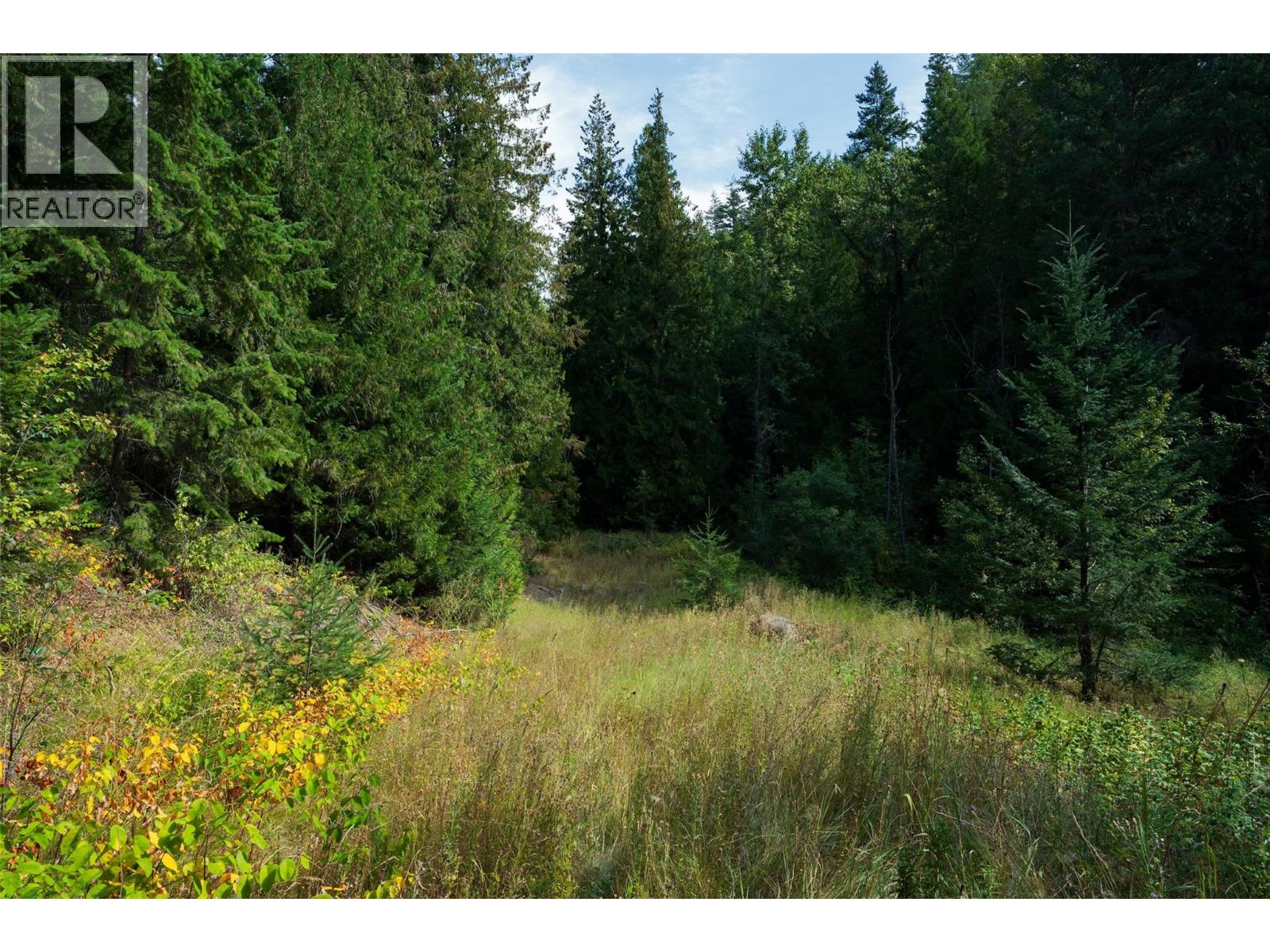 Lot 1 Hwy 33 Highway E, Kelowna, British Columbia  V1P 1H3 - Photo 24 - 10400880