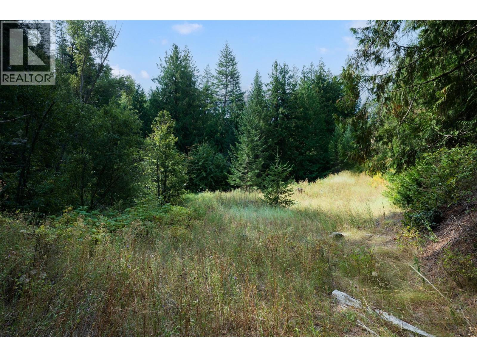 Lot 1 Hwy 33 Highway E, Kelowna, British Columbia  V1P 1H3 - Photo 3 - 10400880