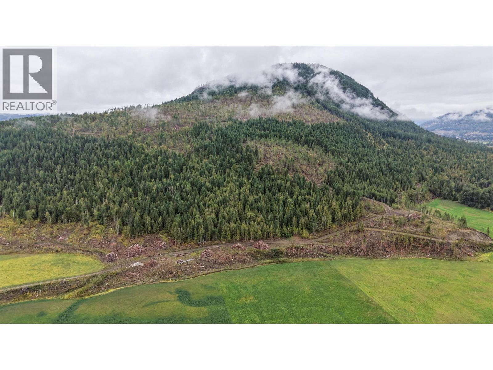 687 Mabel Lake Road, Lumby, British Columbia  V0E 2G5 - Photo 23 - 10401188
