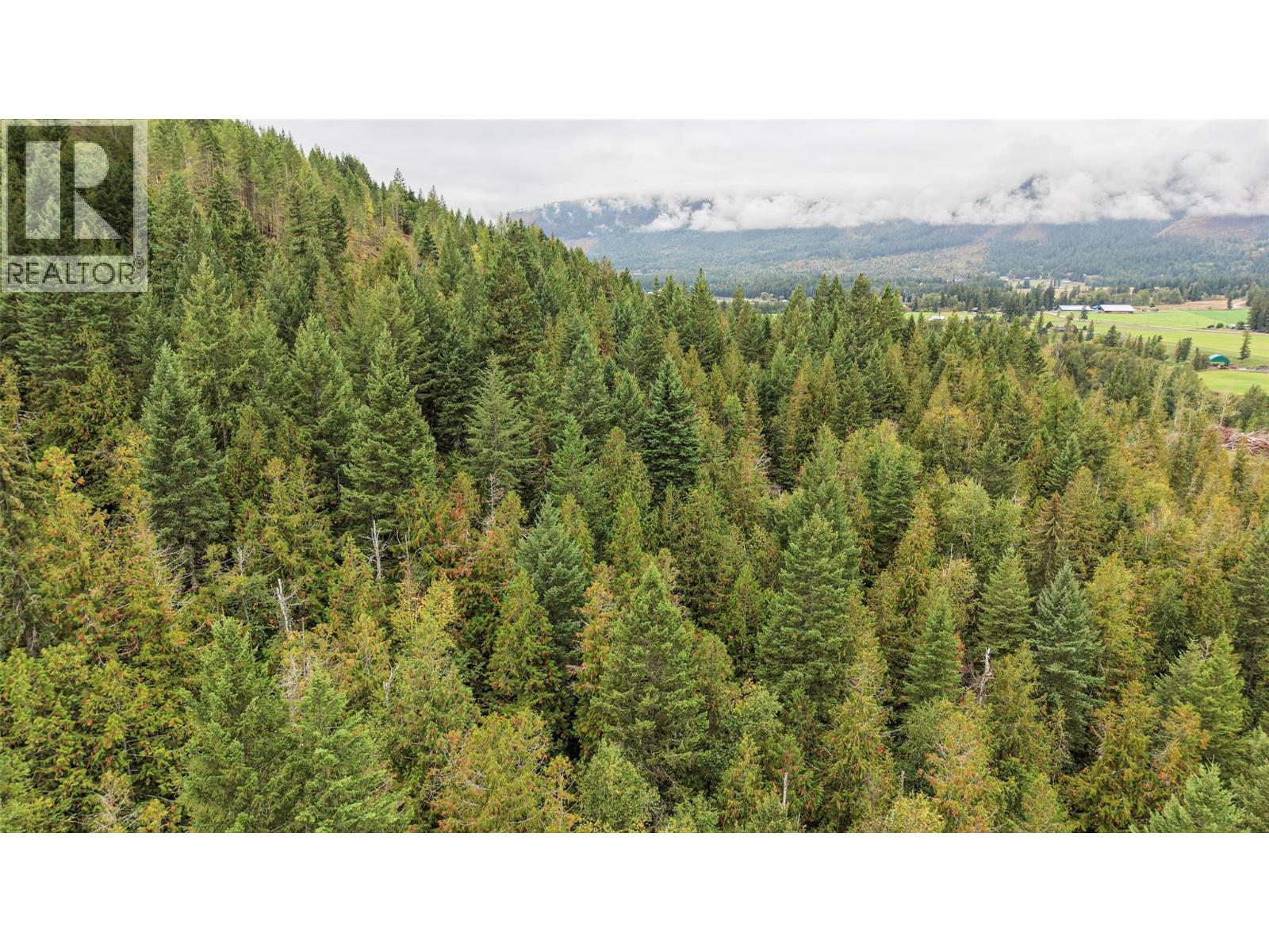 687 Mabel Lake Road, Lumby, British Columbia  V0E 2G5 - Photo 28 - 10401188