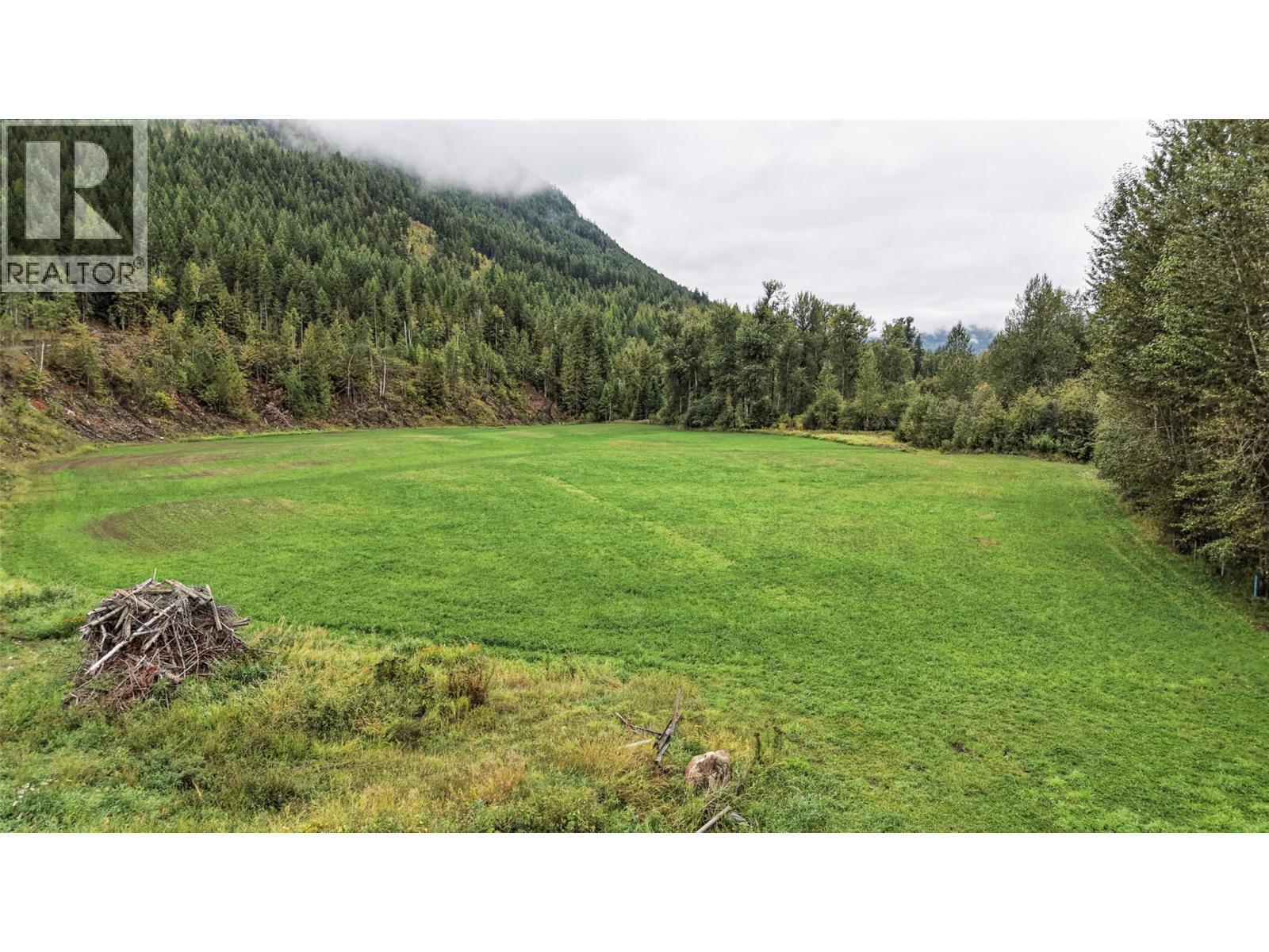 687 Mabel Lake Road, Lumby, British Columbia  V0E 2G5 - Photo 33 - 10401188