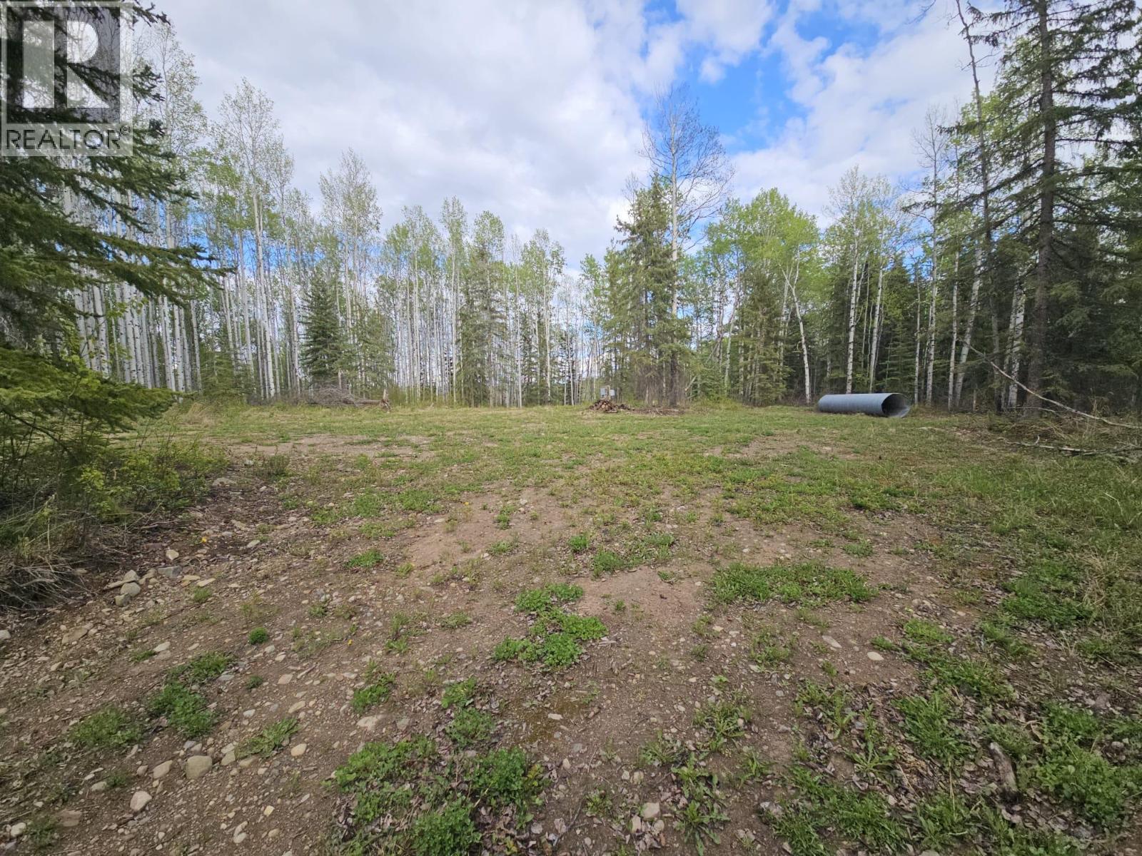 5600 Rifle Range Road, Chetwynd, British Columbia  V0C 1J0 - Photo 10 - 10401047