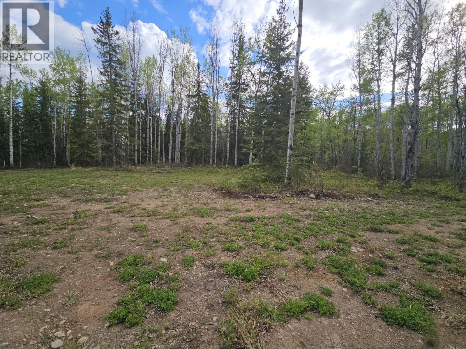 5600 Rifle Range Road, Chetwynd, British Columbia  V0C 1J0 - Photo 13 - 10401047