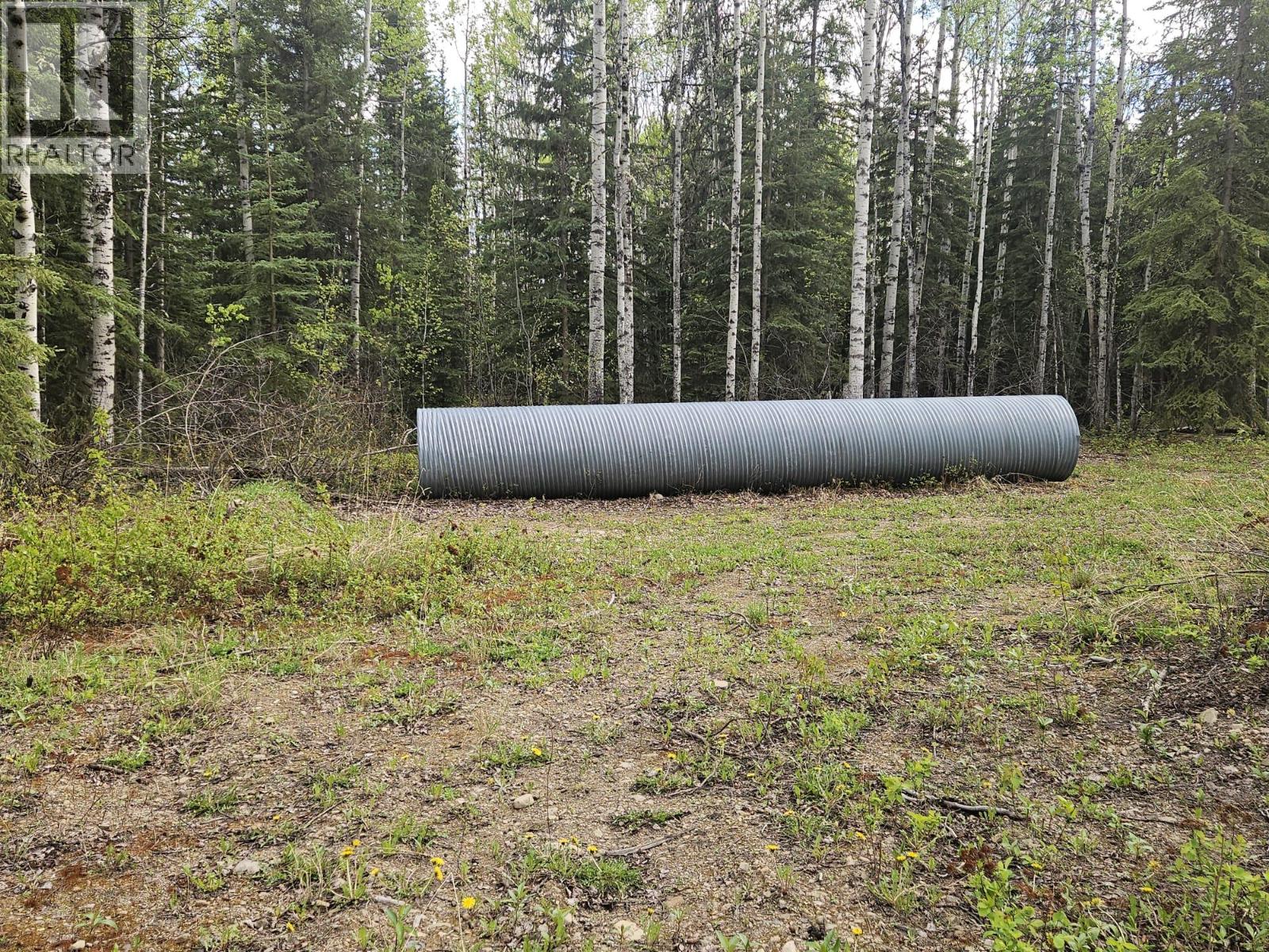 5600 Rifle Range Road, Chetwynd, British Columbia  V0C 1J0 - Photo 14 - 10401047