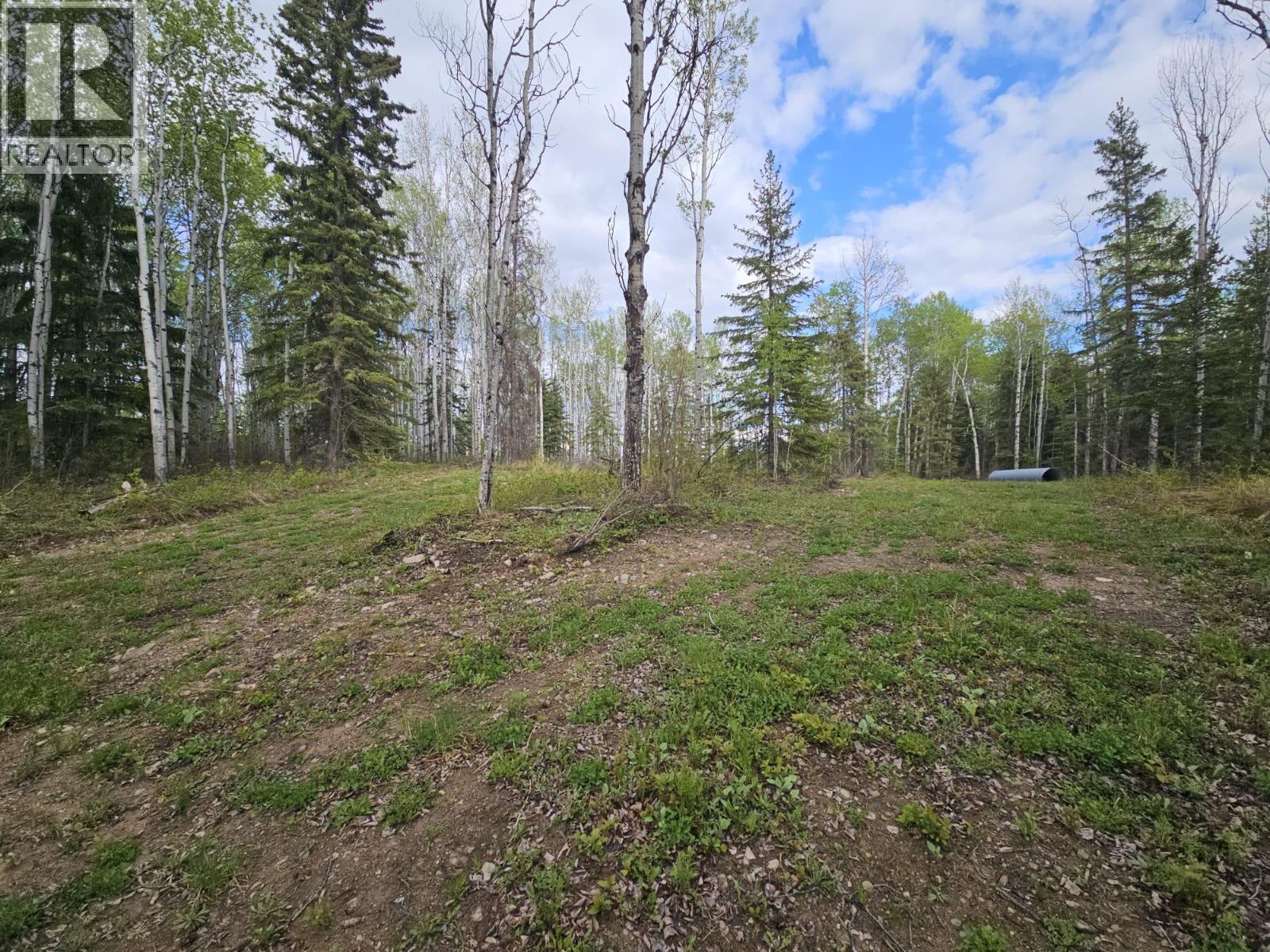 5600 Rifle Range Road, Chetwynd, British Columbia  V0C 1J0 - Photo 16 - 10401047