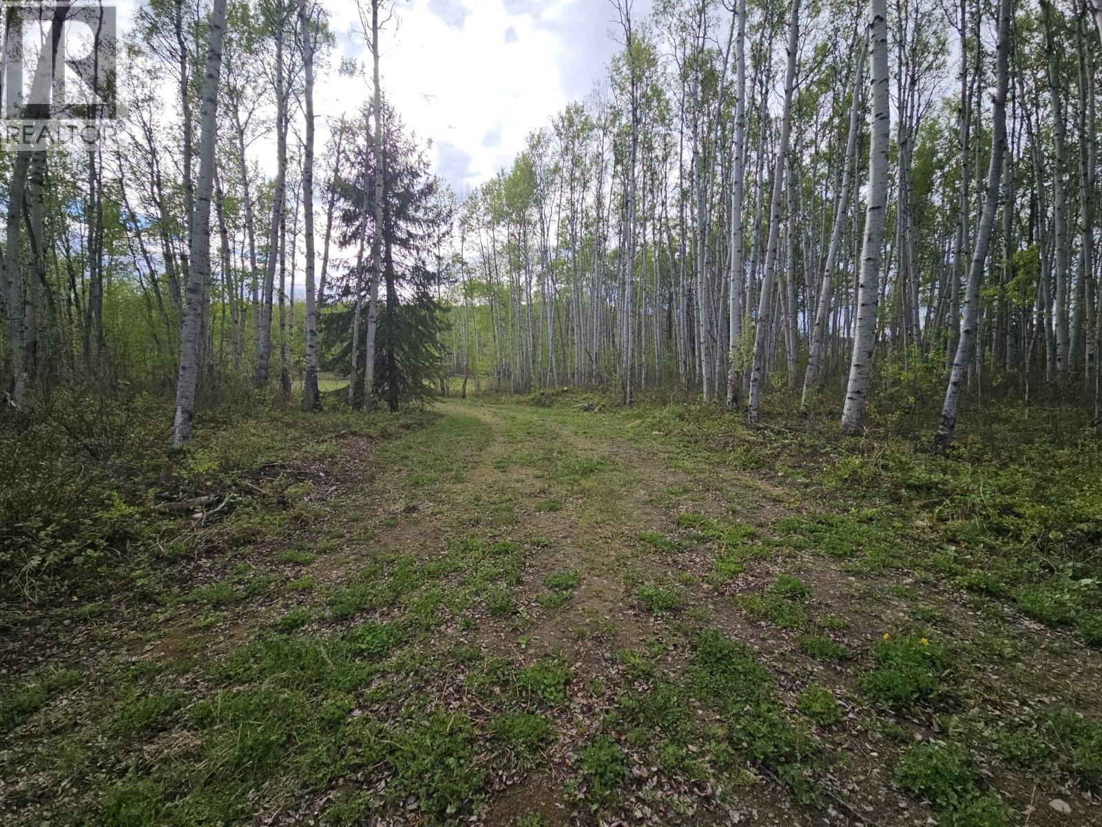 5600 Rifle Range Road, Chetwynd, British Columbia  V0C 1J0 - Photo 17 - 10401047