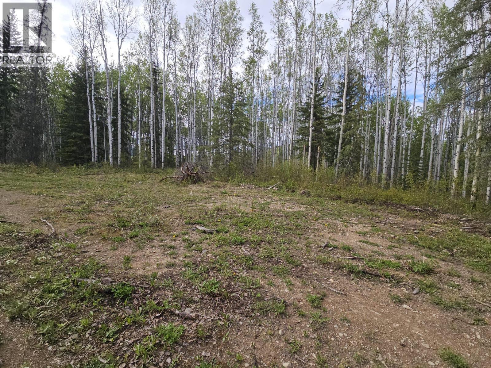 5600 Rifle Range Road, Chetwynd, British Columbia  V0C 1J0 - Photo 18 - 10401047