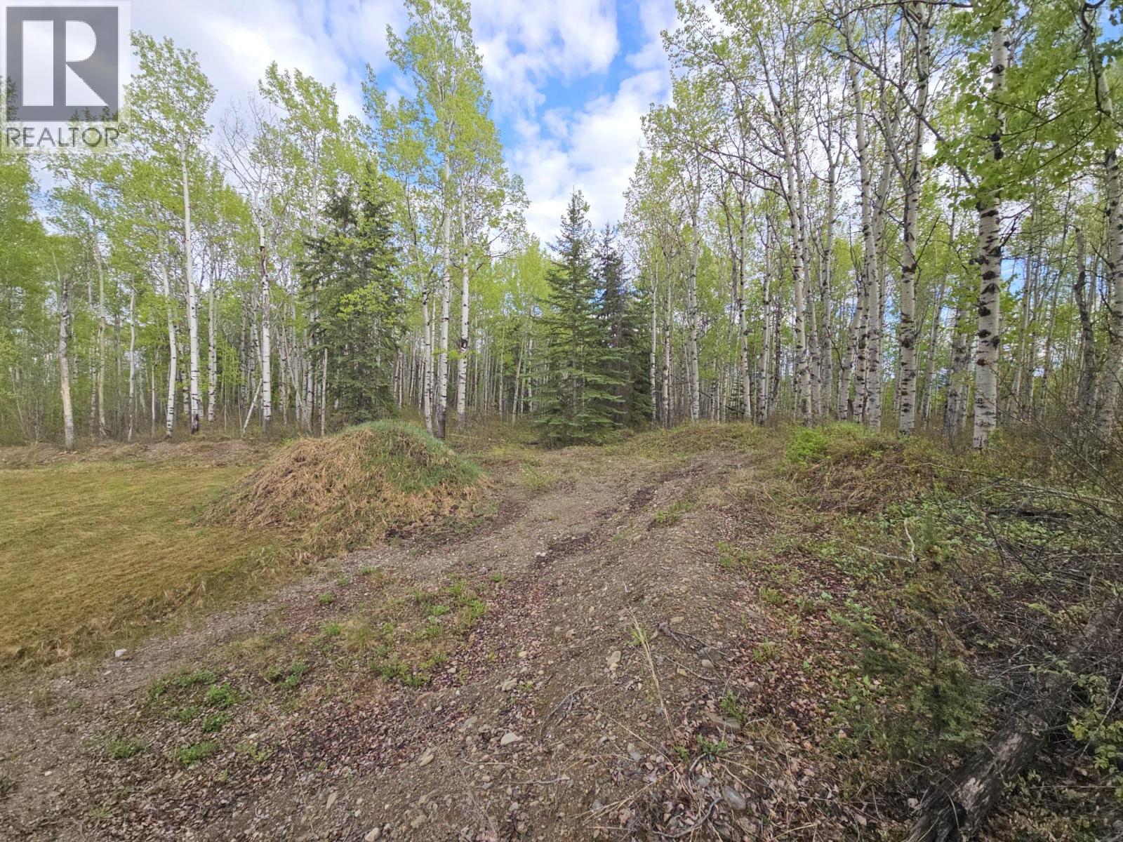 5600 Rifle Range Road, Chetwynd, British Columbia  V0C 1J0 - Photo 4 - 10401047