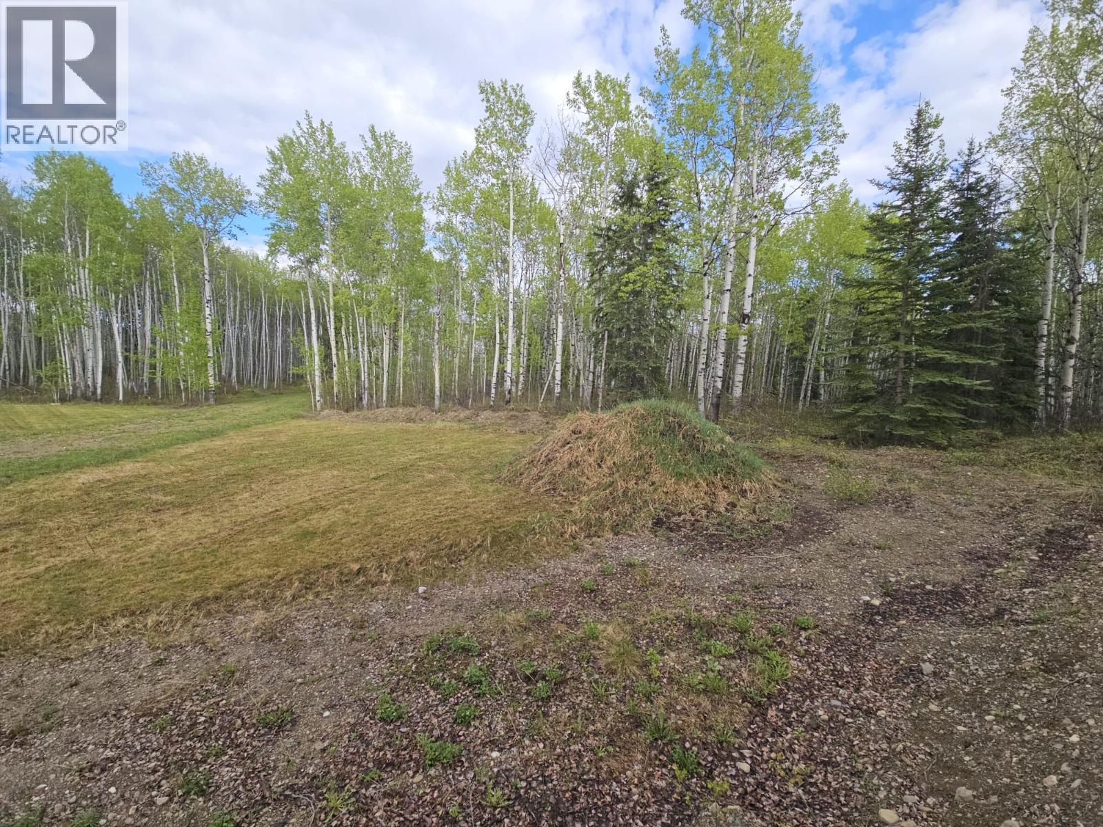 5600 Rifle Range Road, Chetwynd, British Columbia  V0C 1J0 - Photo 5 - 10401047