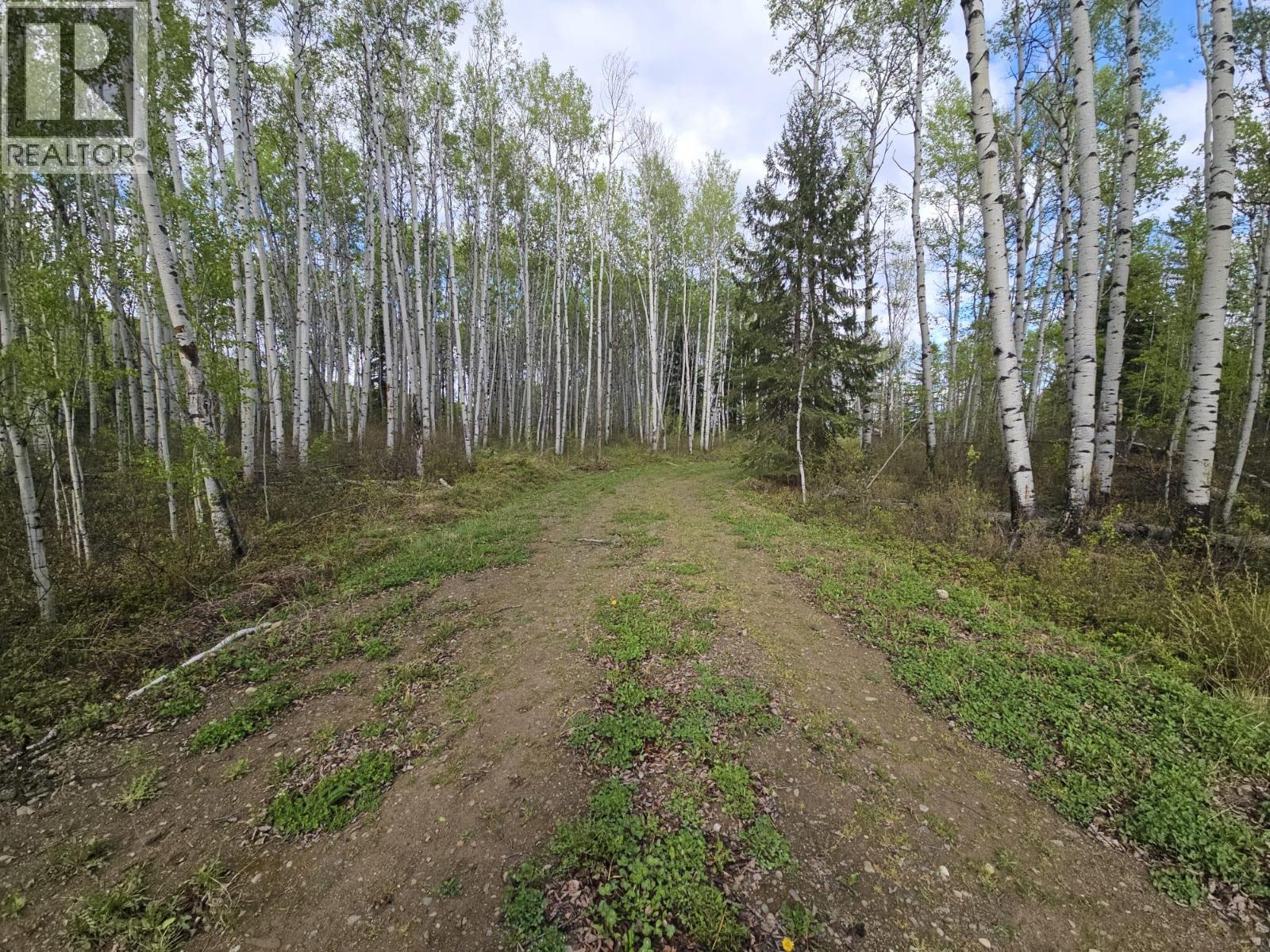 5600 Rifle Range Road, Chetwynd, British Columbia  V0C 1J0 - Photo 8 - 10401047
