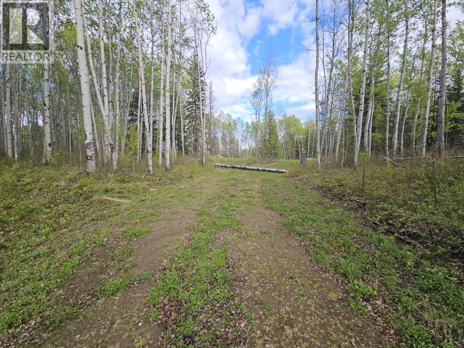 5600 Rifle Range Road, Chetwynd, British Columbia  V0C 1J0 - Photo 9 - 10401047