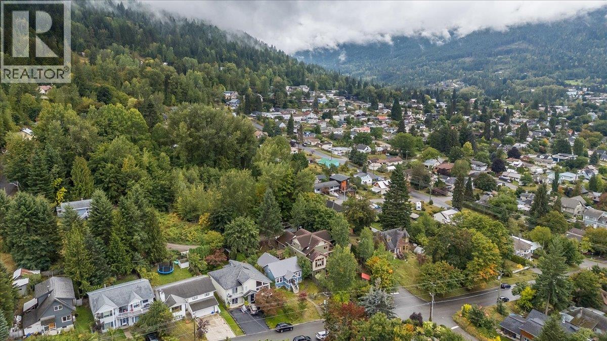 1008 Observatory Street, Nelson, British Columbia  V1L 5P3 - Photo 52 - 10400483