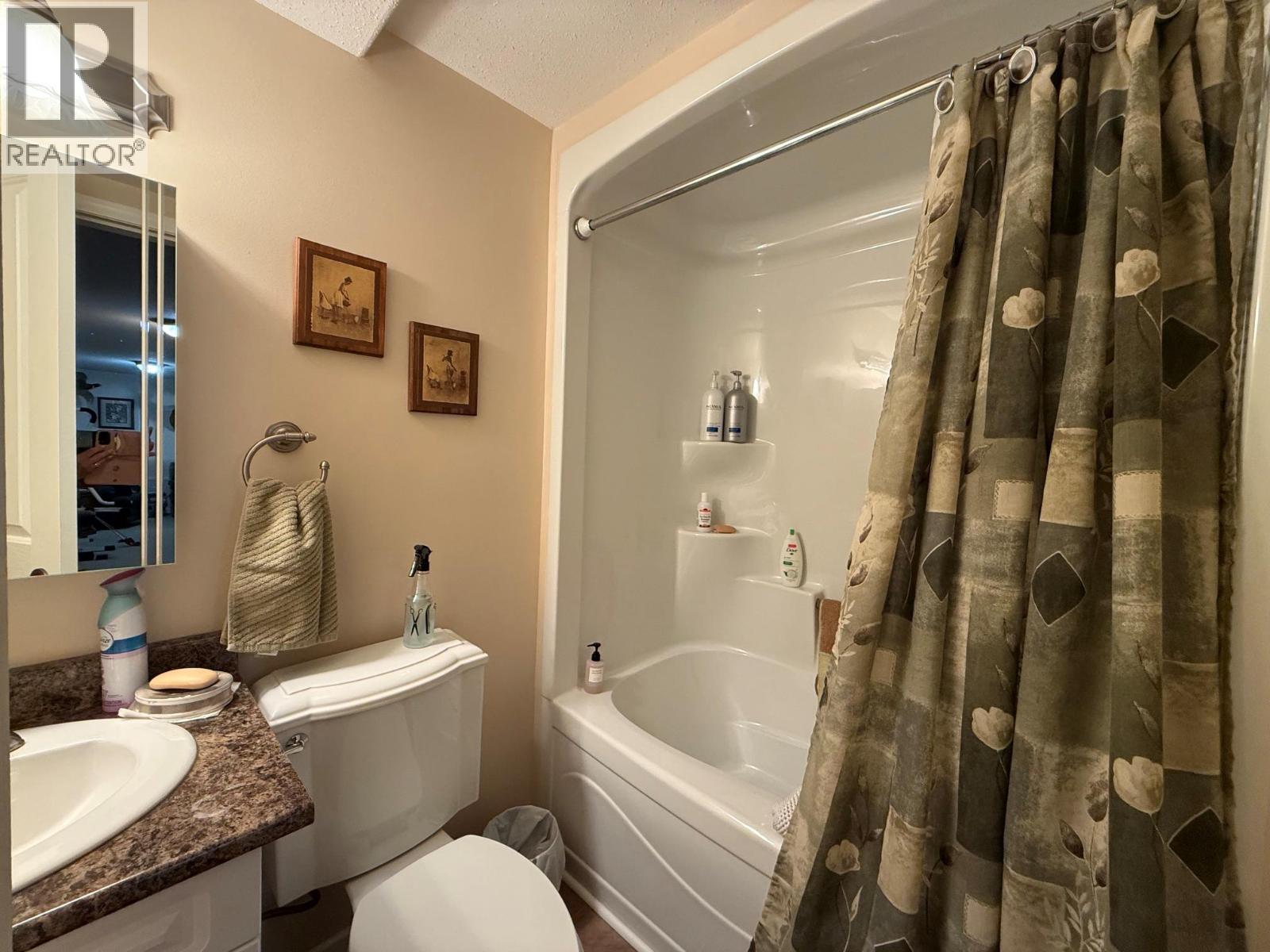 340 Robson Place, Clearwater, British Columbia  V0E 1N1 - Photo 15 - 10401265