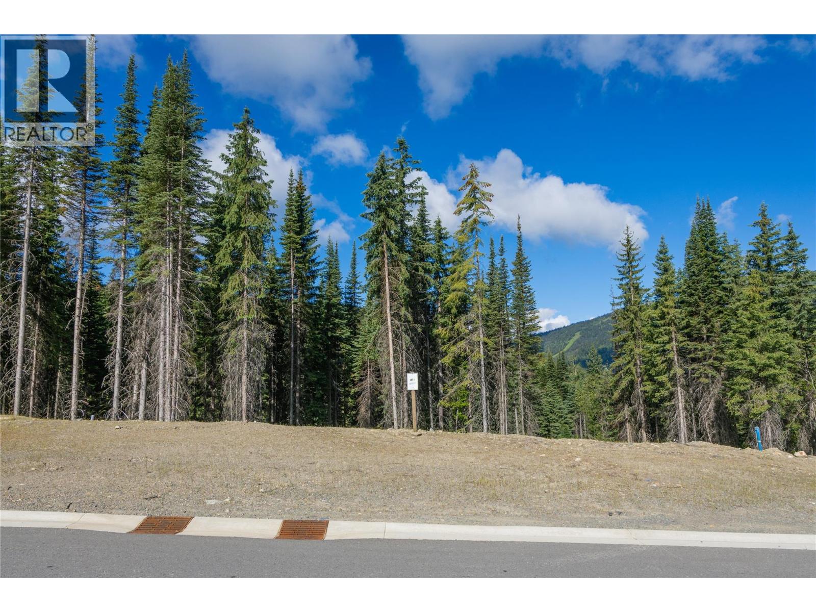 Lot 11 Mcgillivray Lake Drive, Sun Peaks, British Columbia  V0E 5N0 - Photo 6 - 10400774