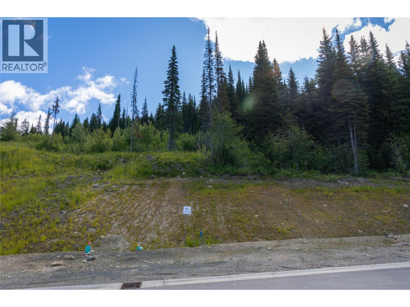 Lot 1 Mcgillivray Lake Drive, Sun Peaks, British Columbia  V0E 5N0 - Photo 6 - 10400771