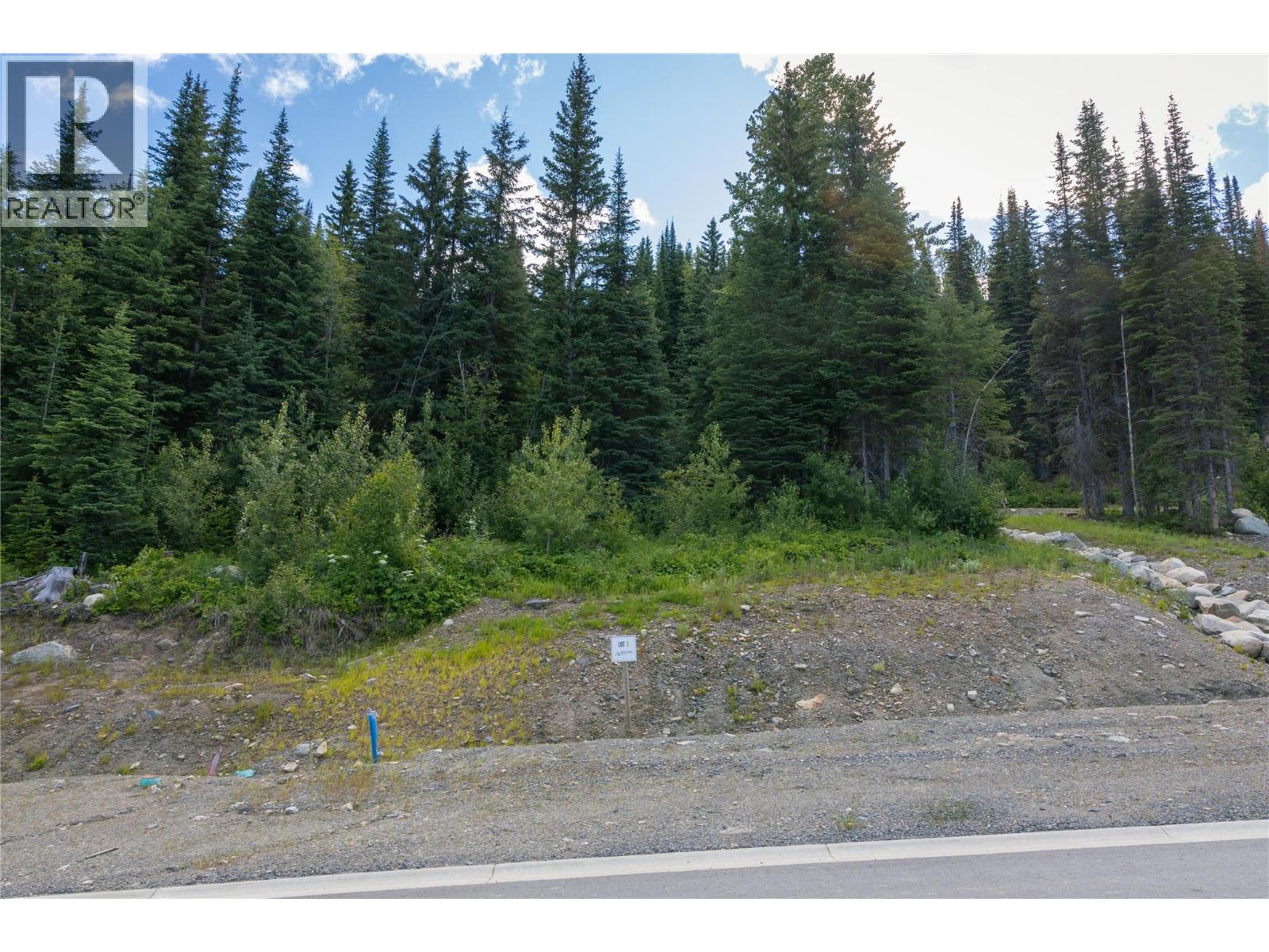Lot 3 Mcgillivray Lake Drive, Sun Peaks, British Columbia  V0E 5N0 - Photo 6 - 10400770