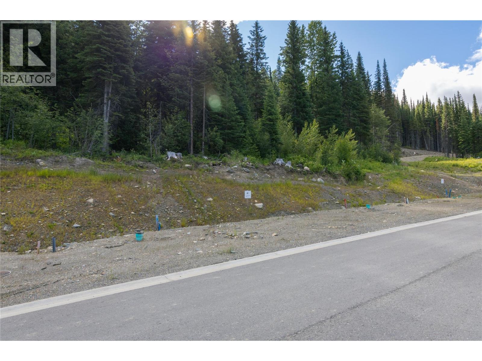 Lot 2 Mcgillivray Lake Drive, Sun Peaks, British Columbia  V0E 5N0 - Photo 4 - 10400766