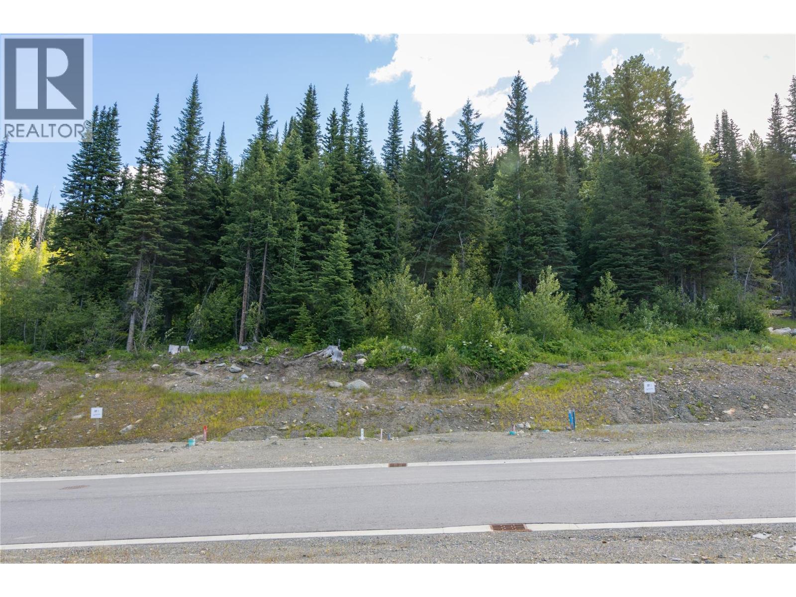 Lot 12 Mcgillivray Lake Drive, Sun Peaks, British Columbia  V0E 5N0 - Photo 5 - 10400755