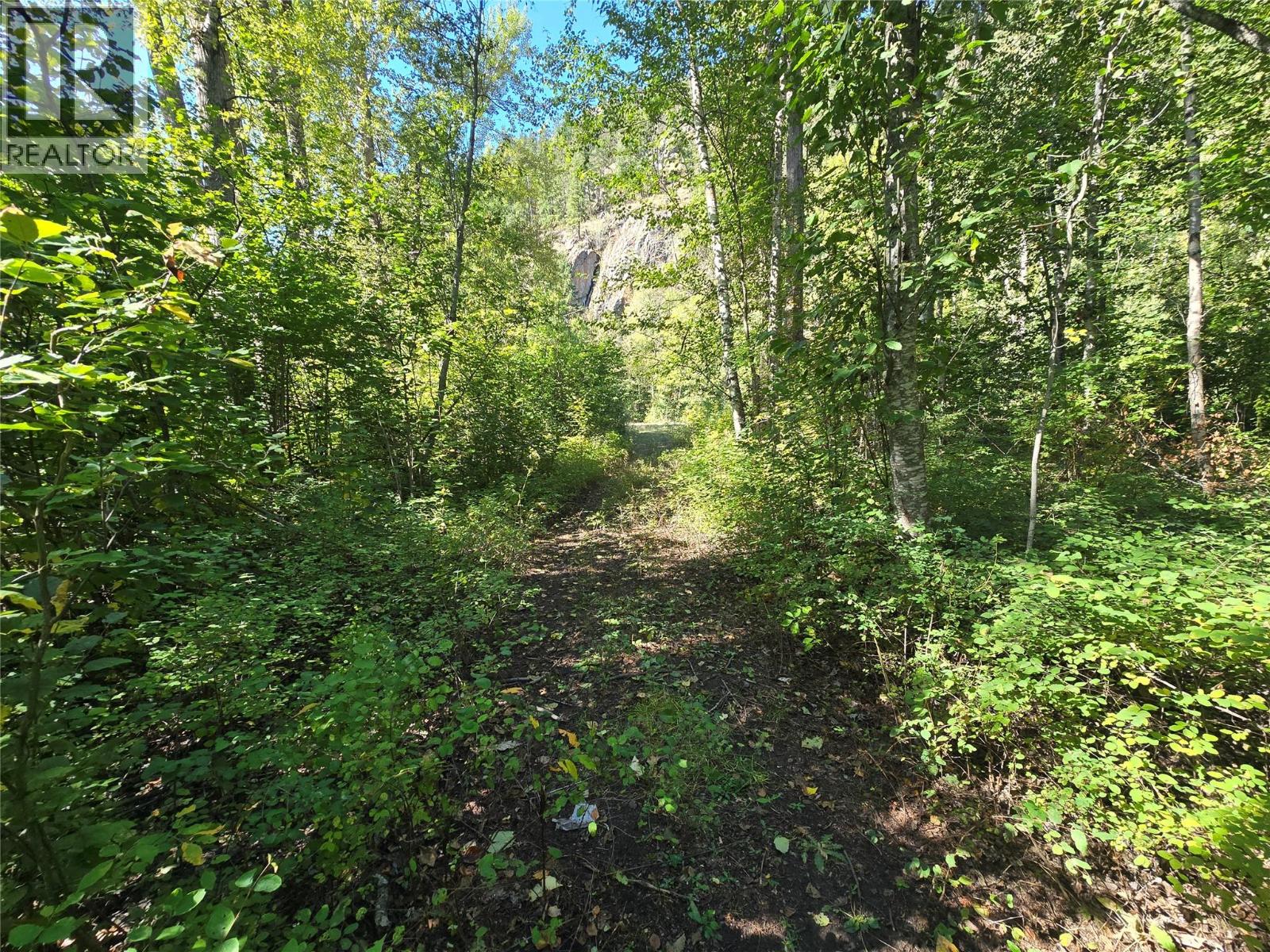 4504 Yellowhead Highway S, Little Fort, British Columbia  V0E 2C0 - Photo 12 - 10401270