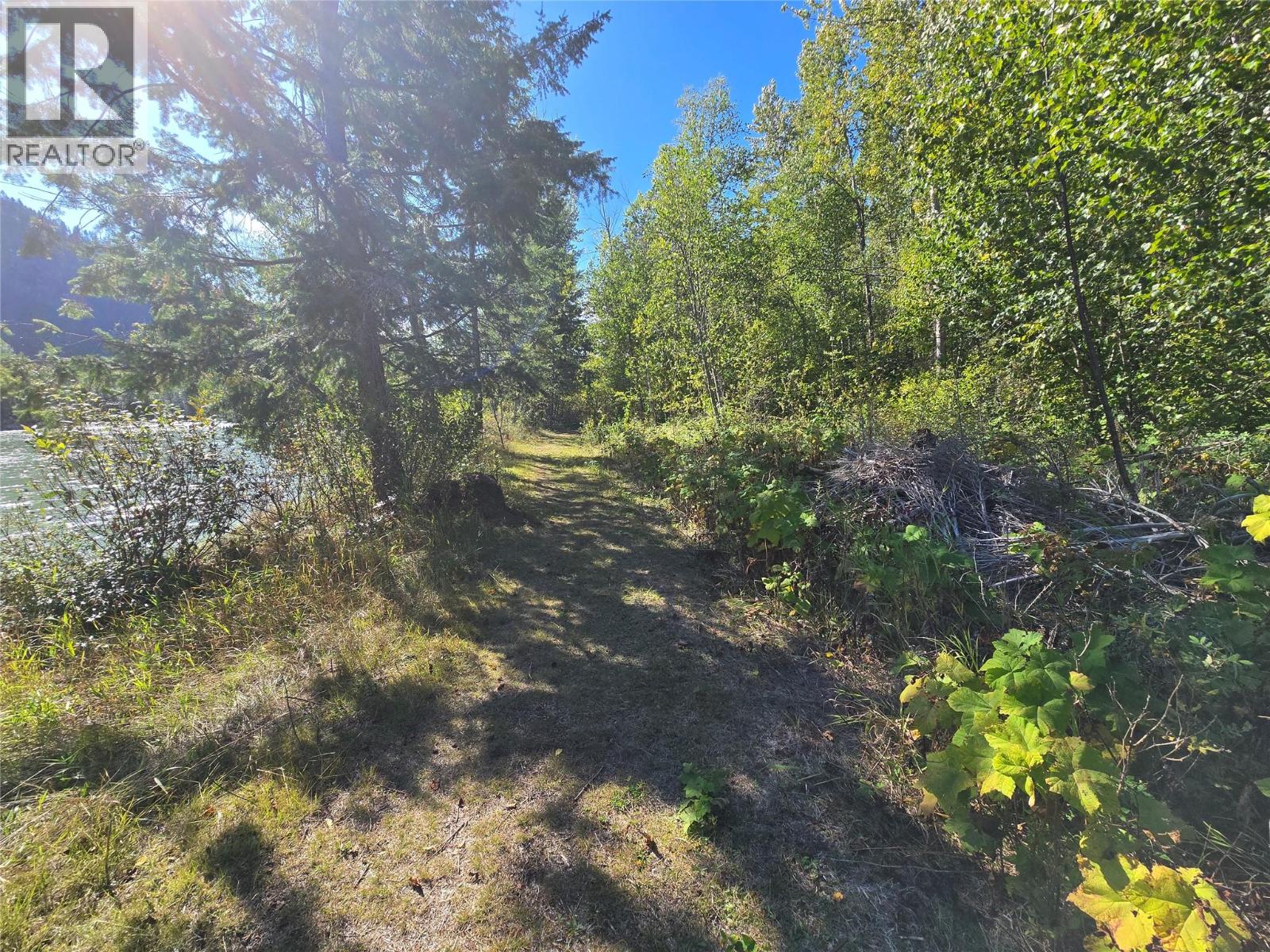4504 Yellowhead Highway S, Little Fort, British Columbia  V0E 2C0 - Photo 14 - 10401270