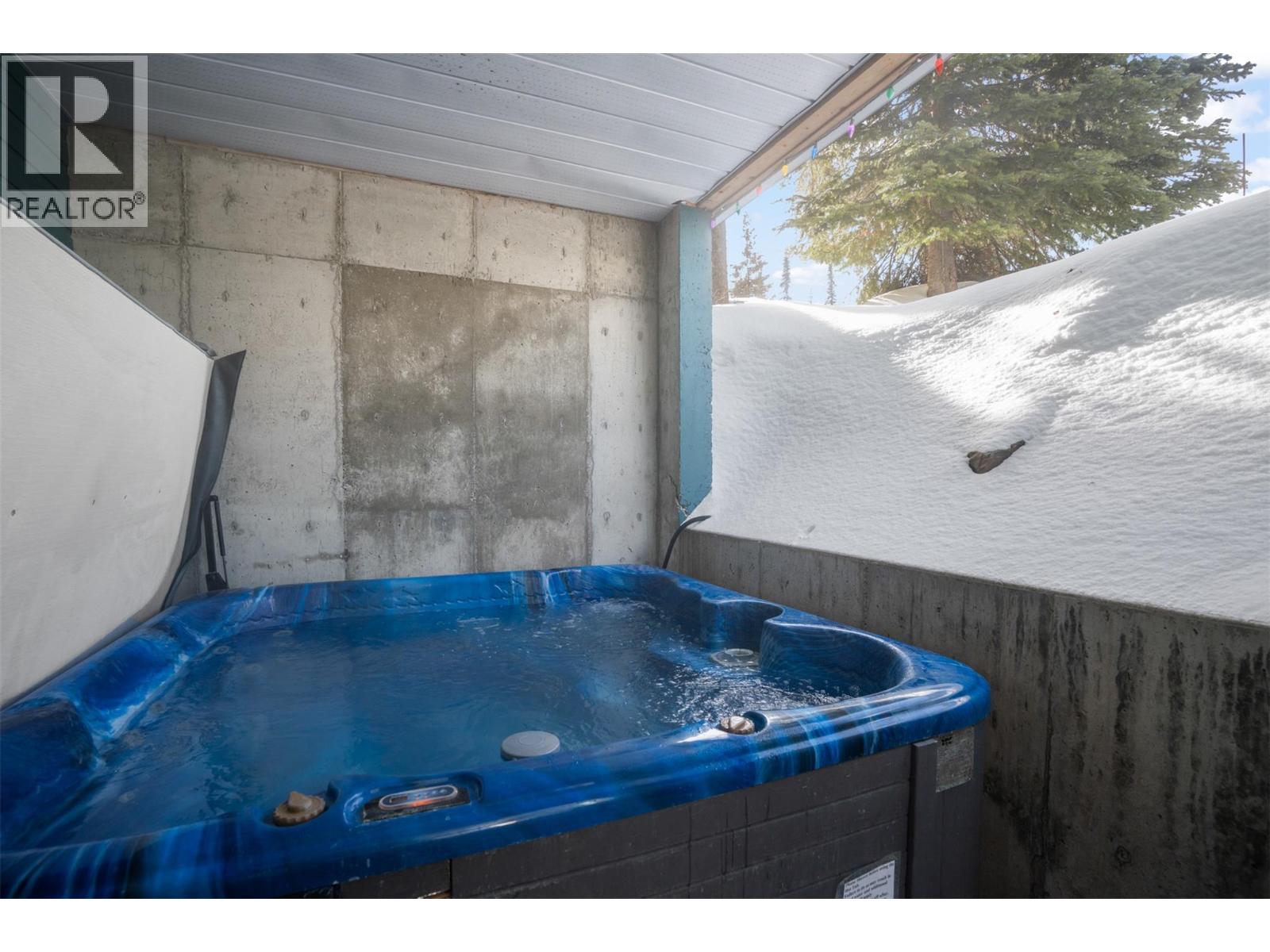290 Silver Queen Road Unit# 1, Silver Star, British Columbia  V1B 0S5 - Photo 30 - 10400318