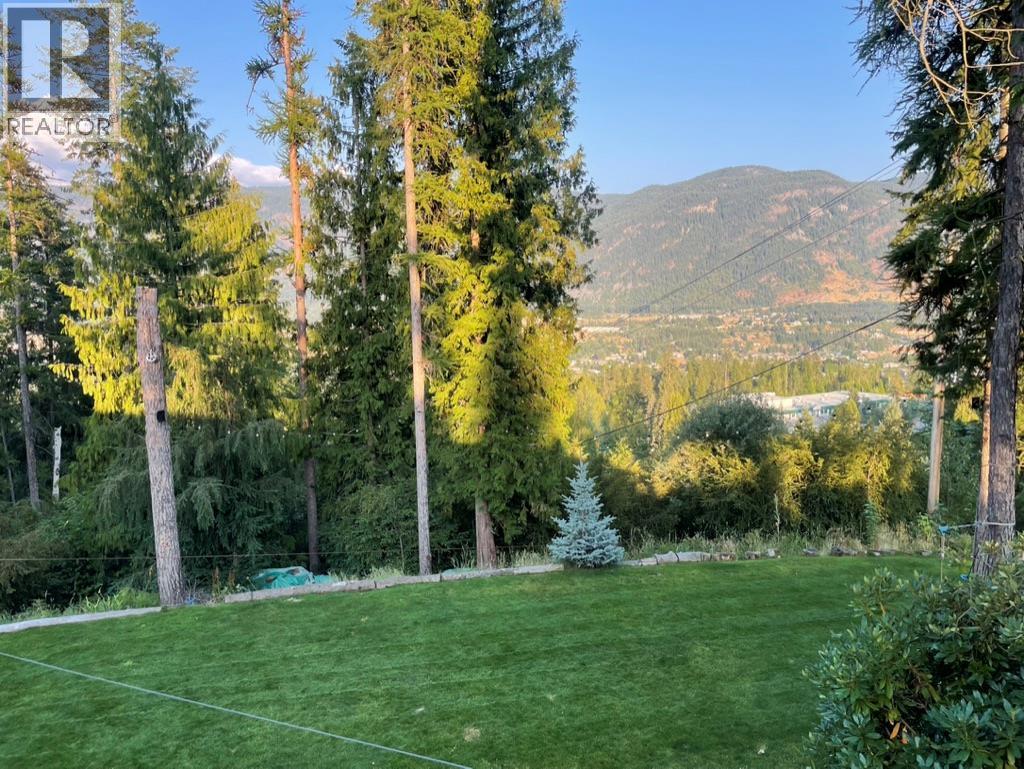 1301 Grosvenor Place, Castlegar, British Columbia  V1N 3X8 - Photo 64 - 10401069